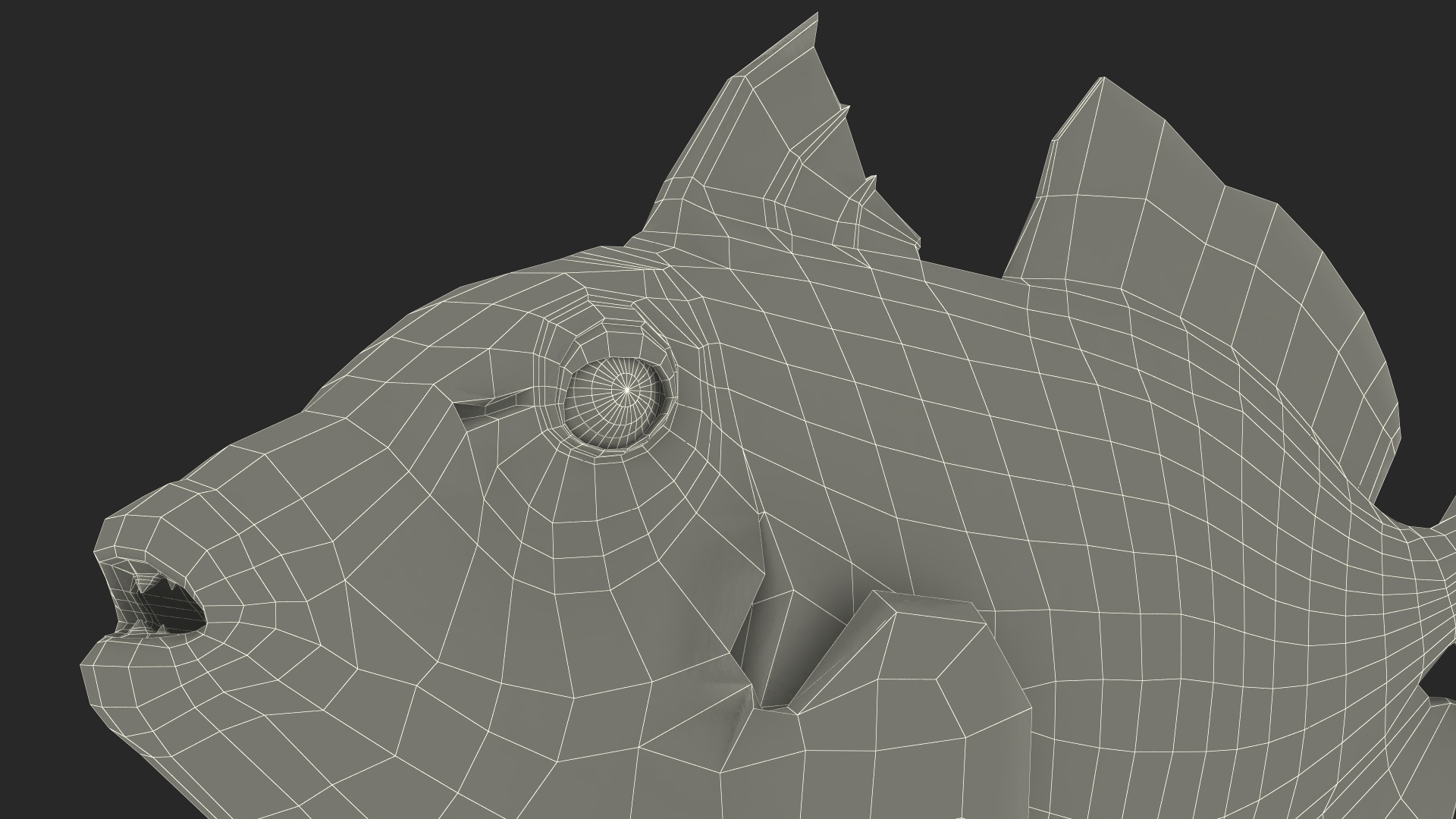 3D Balistoides Conspicillum or Bigspotted Triggerfish Rigged for Cinema 4D