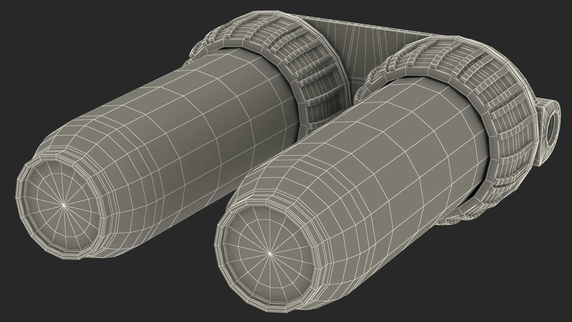 Dual Stage Water Filter Housing with Filters 3D model