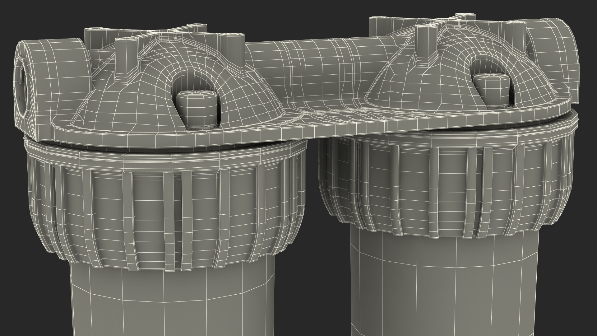 Dual Stage Water Filter Housing with Filters 3D model