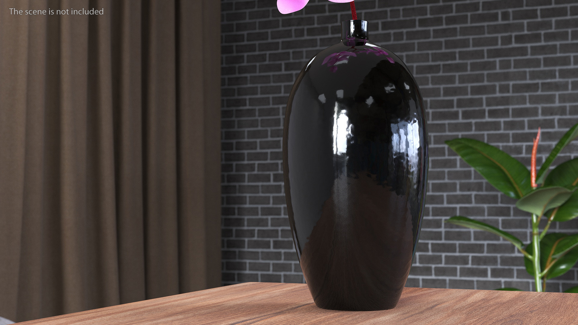 3D Pink Phalaenopsis Orchid in Black Vase model
