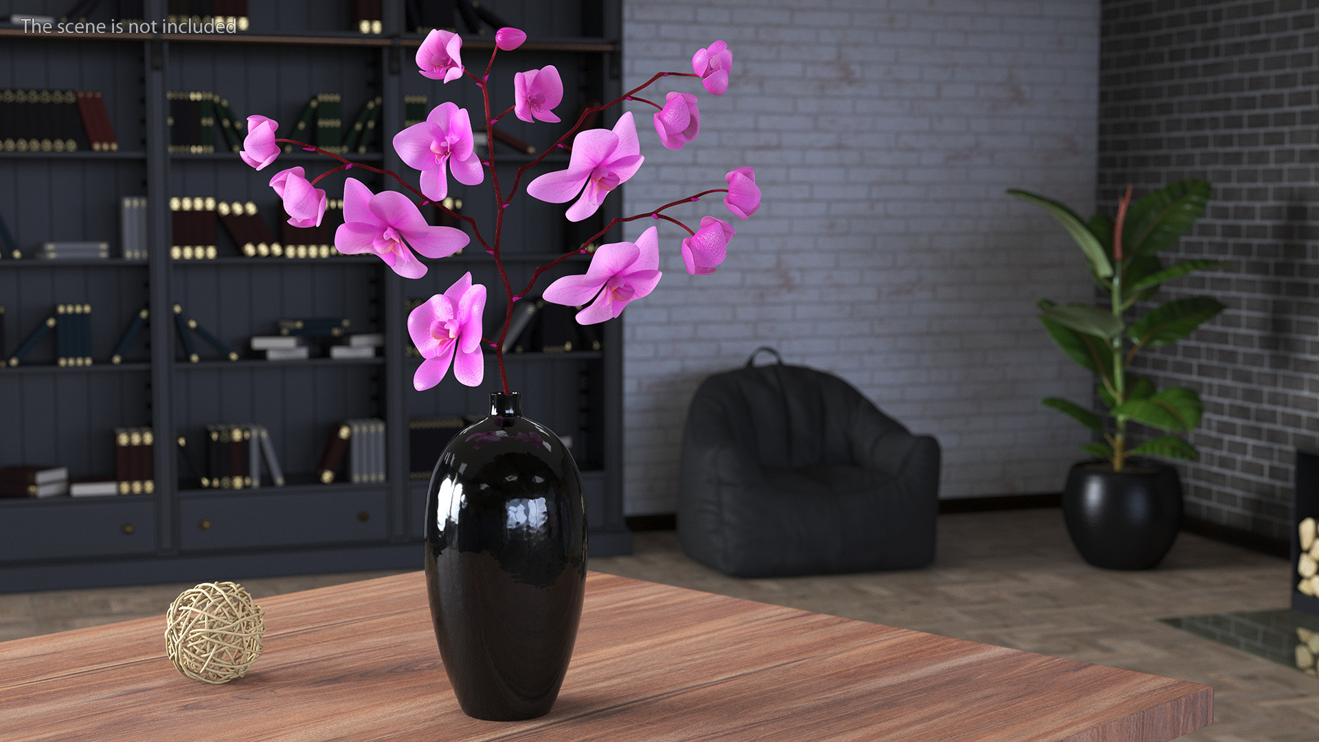 3D Pink Phalaenopsis Orchid in Black Vase model