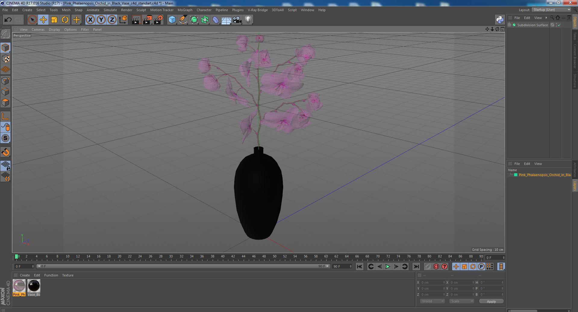 3D Pink Phalaenopsis Orchid in Black Vase model