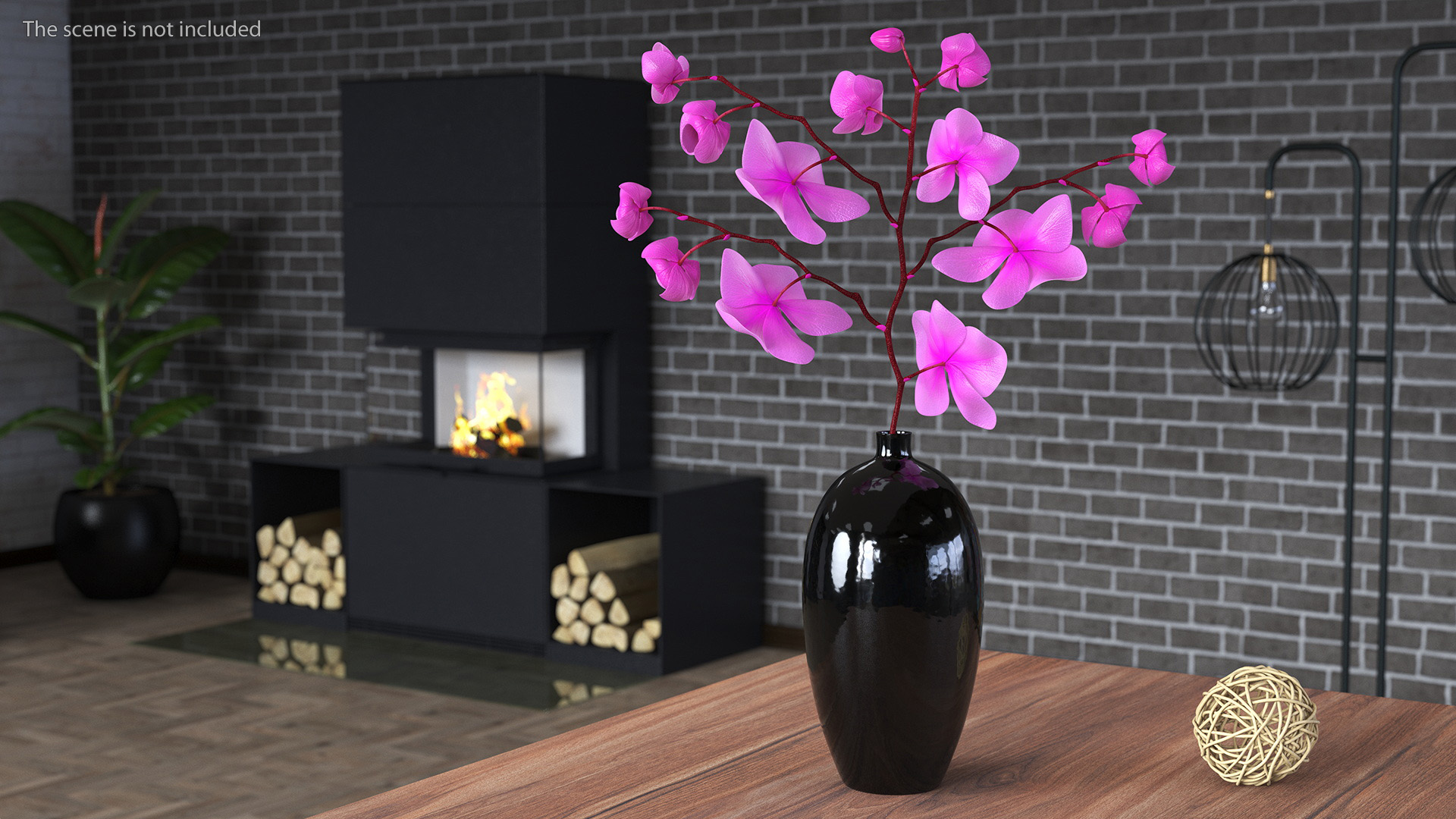 3D Pink Phalaenopsis Orchid in Black Vase model