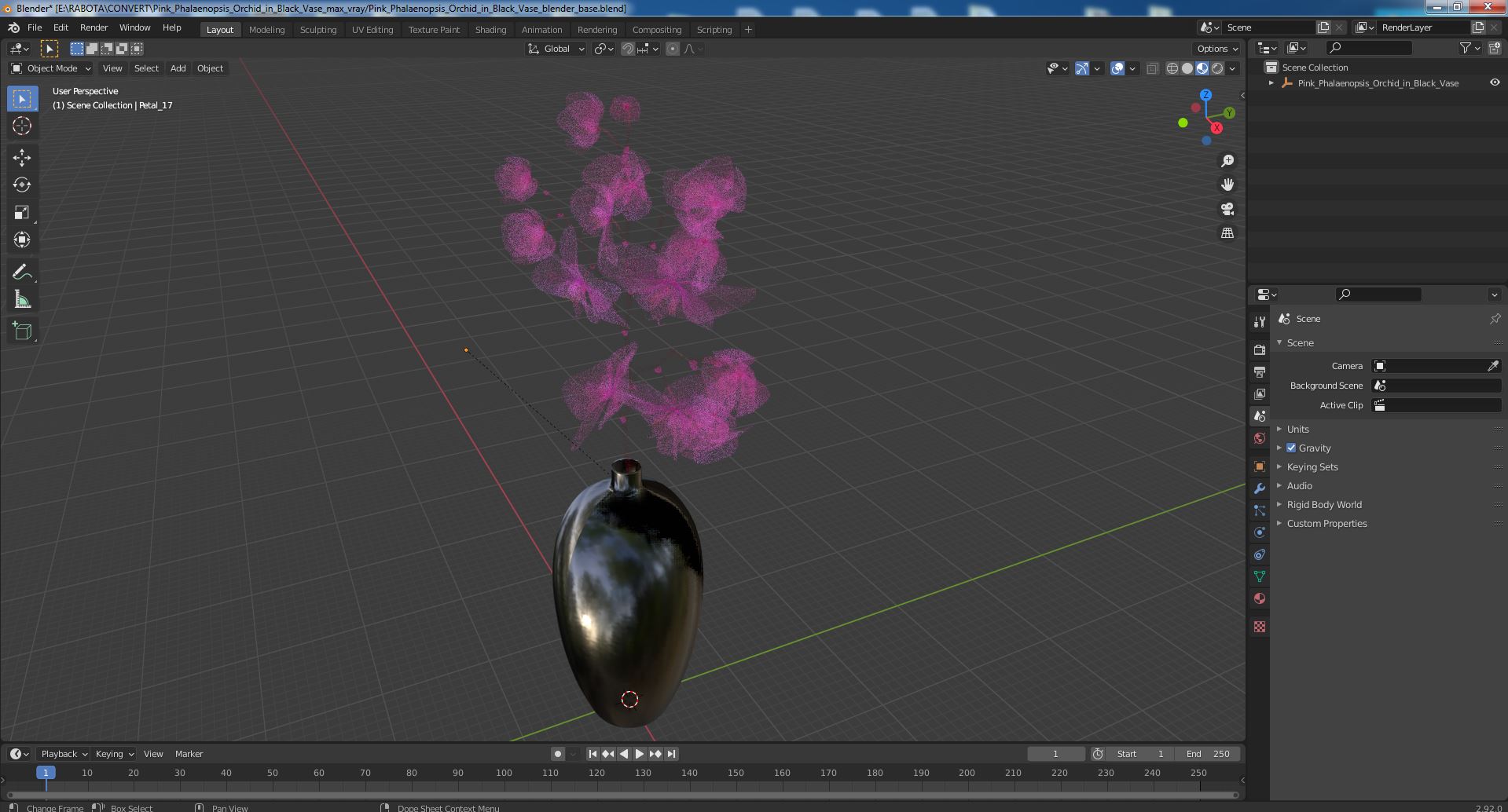 3D Pink Phalaenopsis Orchid in Black Vase model