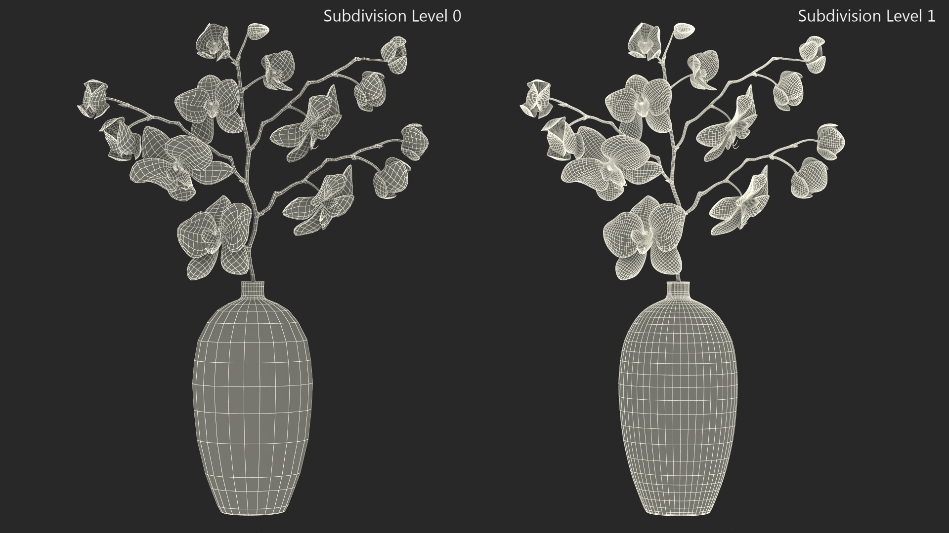 3D Pink Phalaenopsis Orchid in Black Vase model