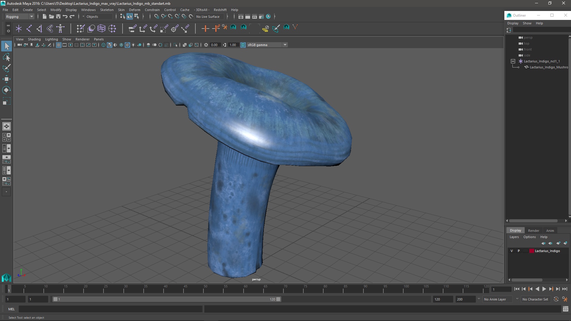 3D Lactarius Indigo