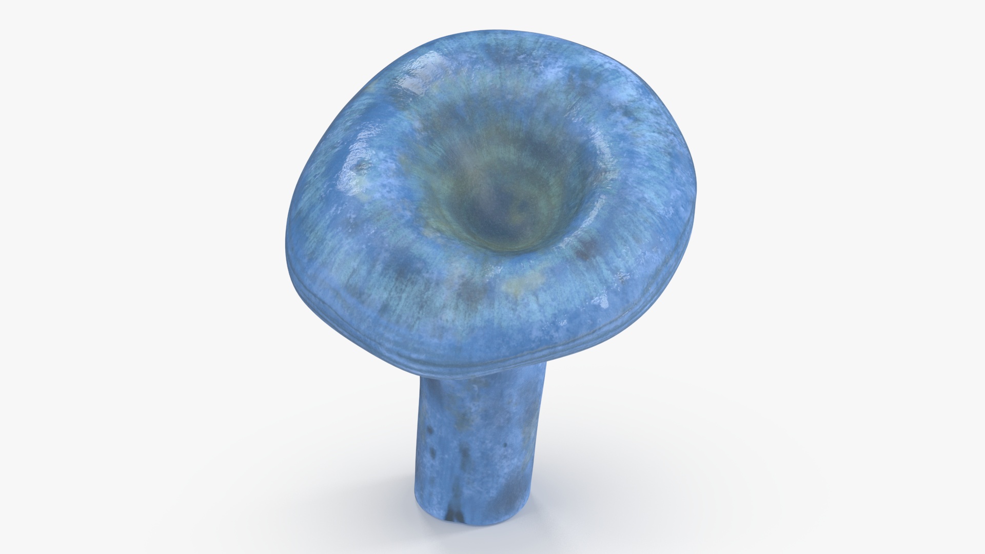 3D Lactarius Indigo