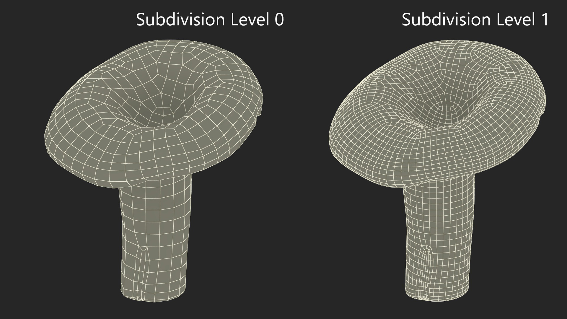 3D Lactarius Indigo