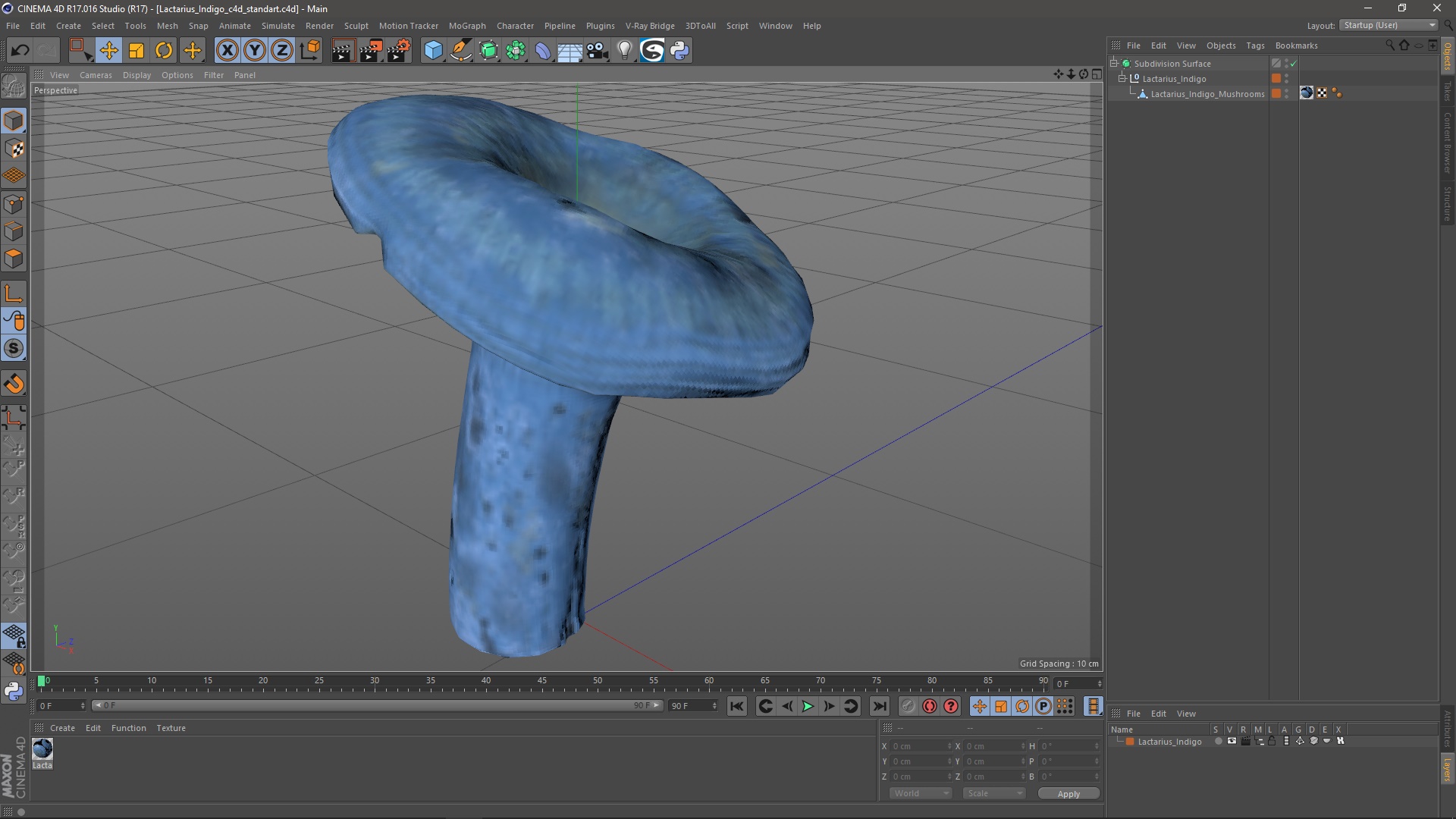 3D Lactarius Indigo