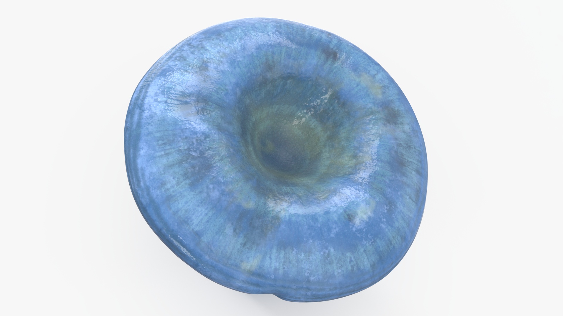 3D Lactarius Indigo