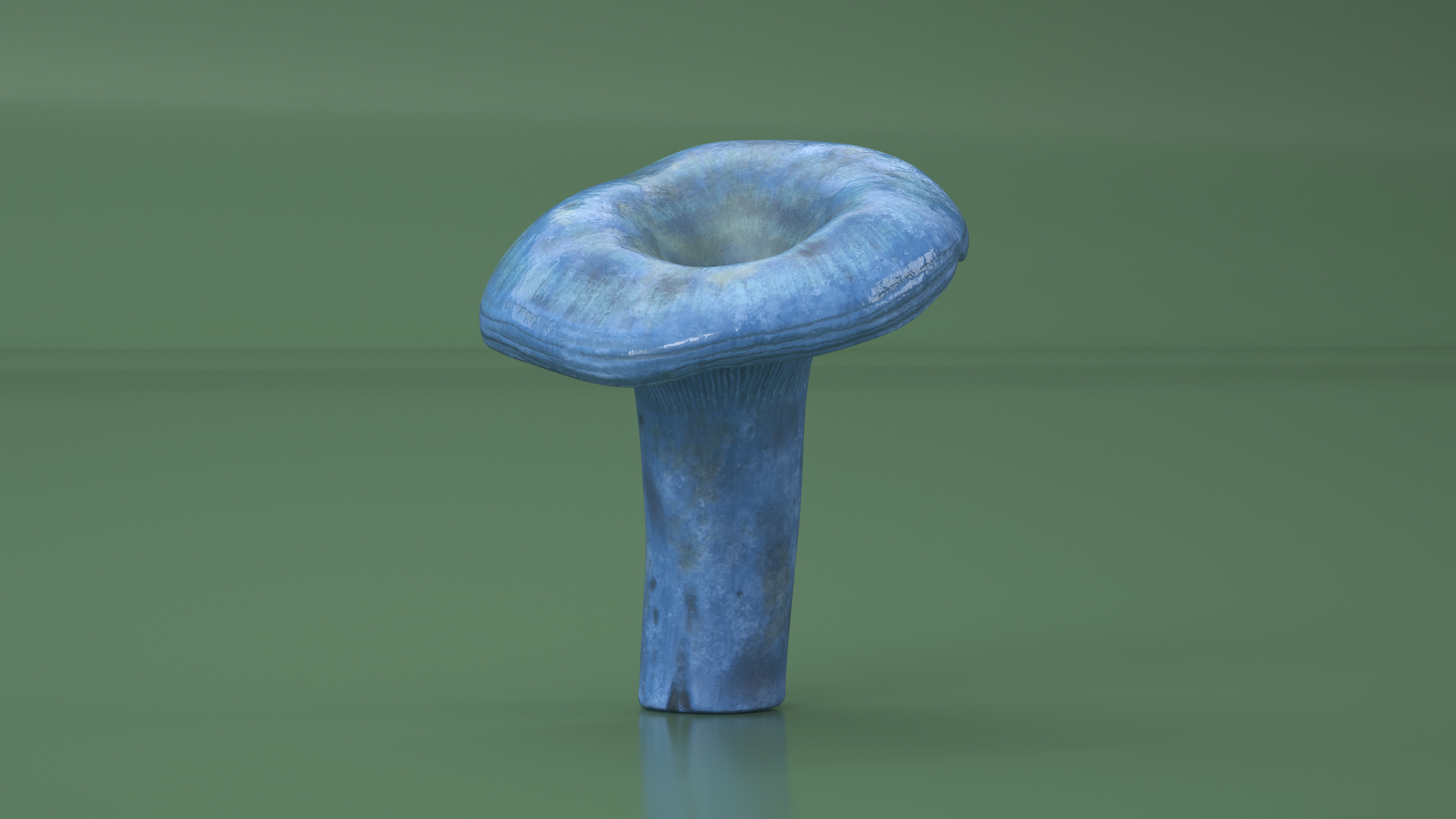 3D Lactarius Indigo