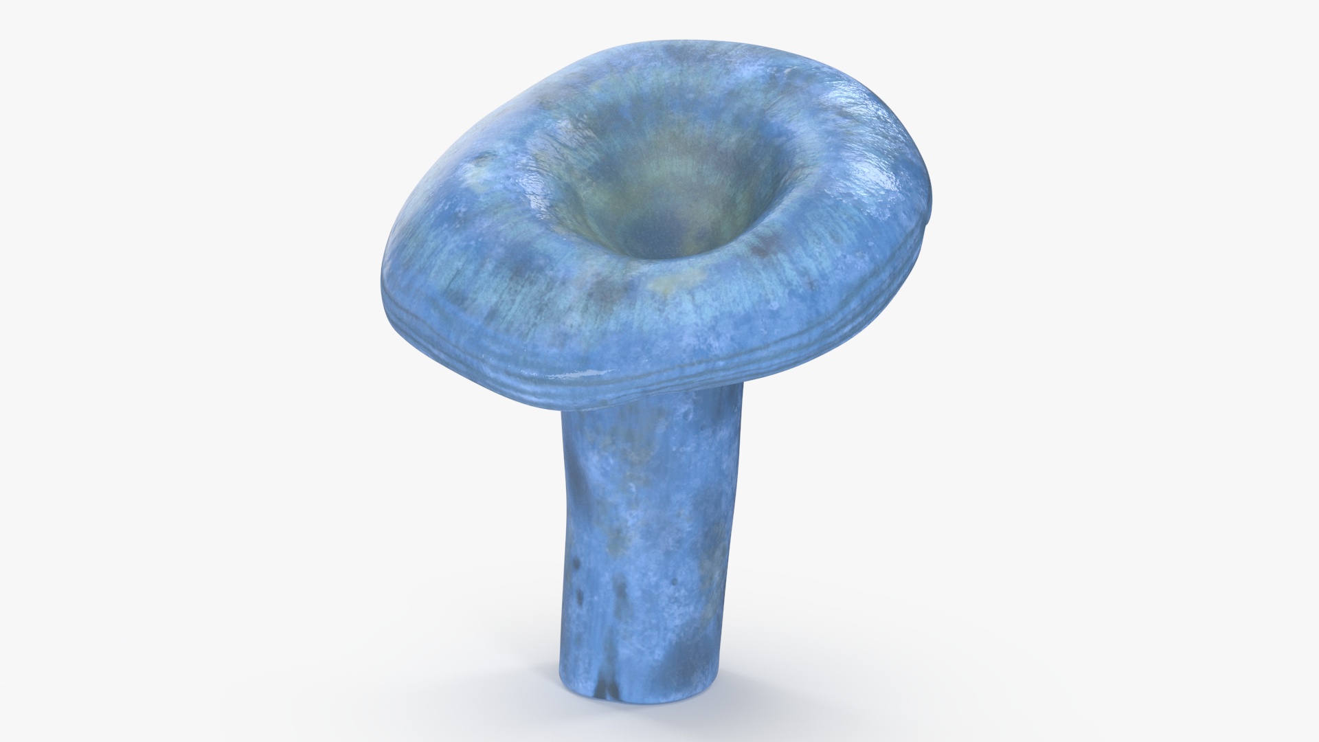 3D Lactarius Indigo