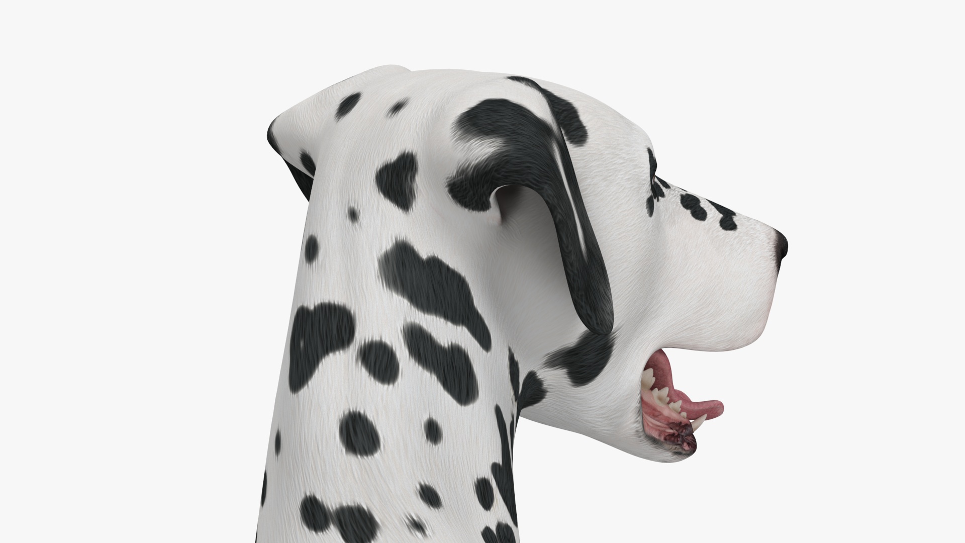 Spotted Lying Dalmatian Dog 3D