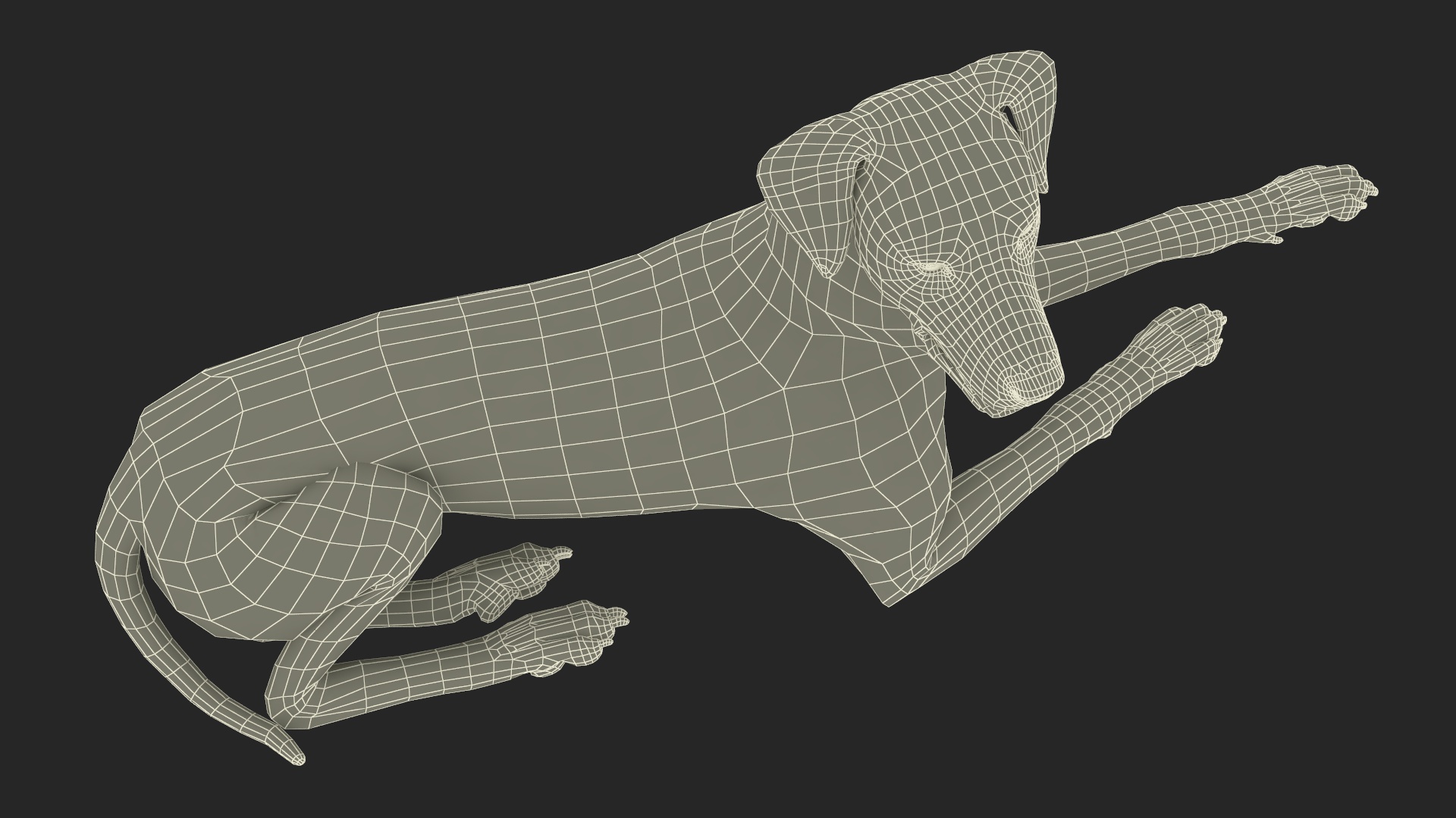Spotted Lying Dalmatian Dog 3D