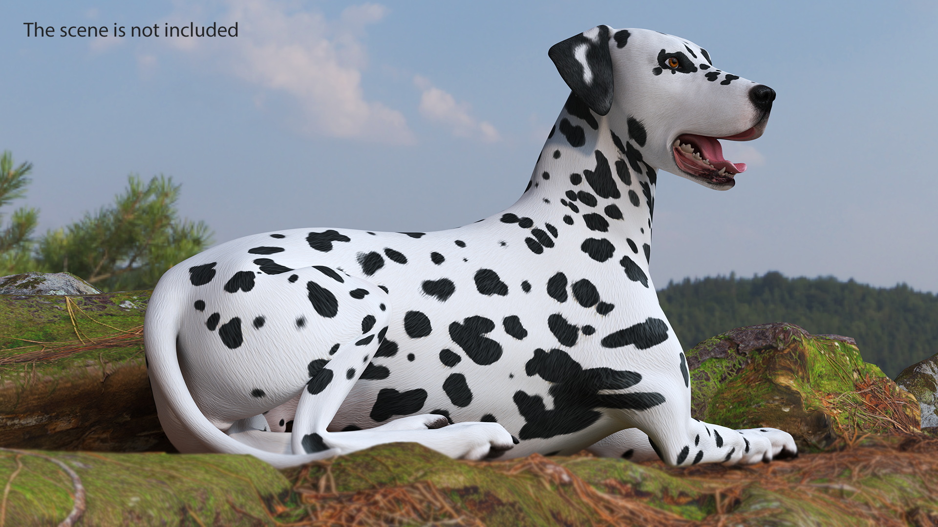 Spotted Lying Dalmatian Dog 3D