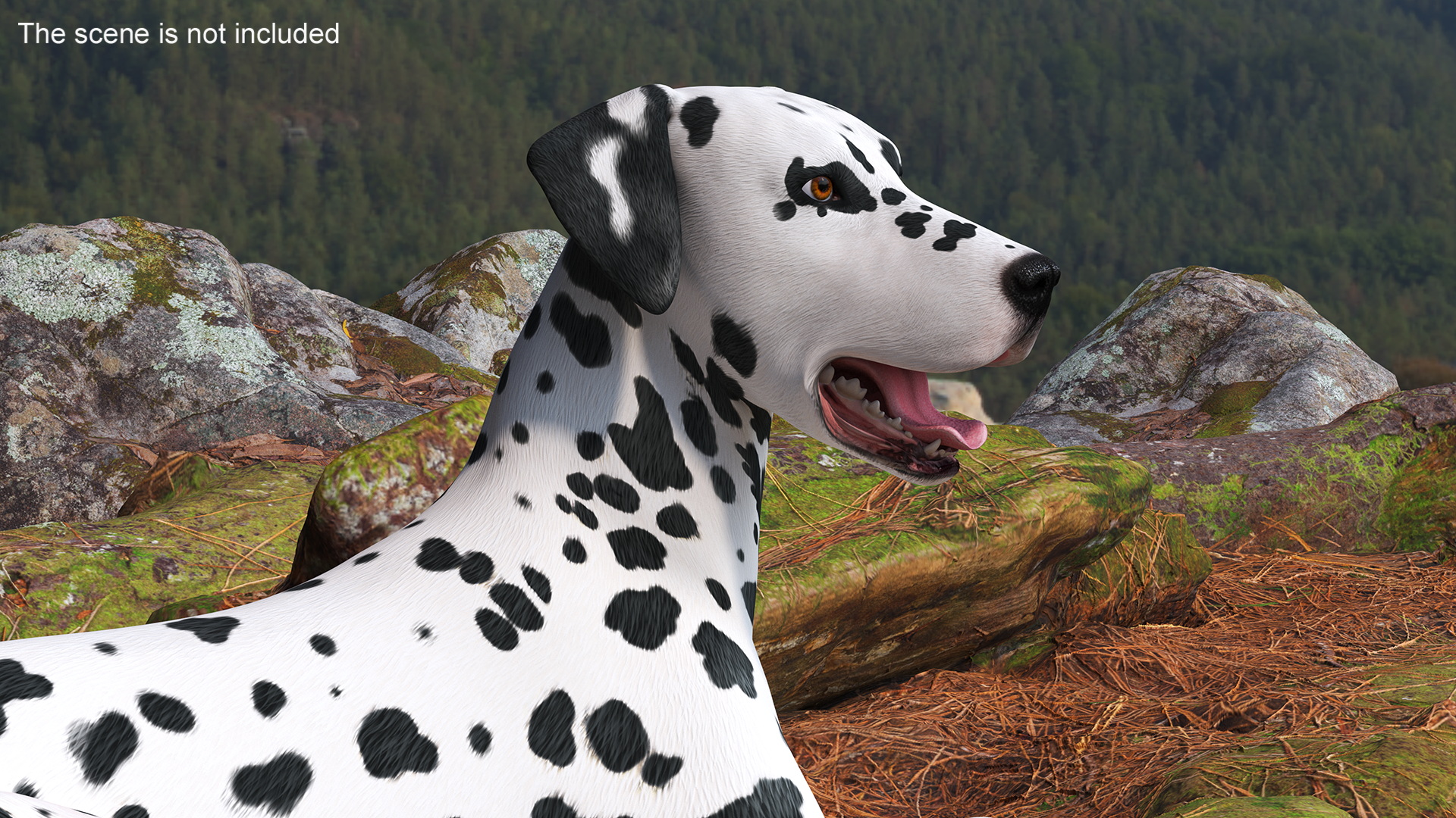 Spotted Lying Dalmatian Dog 3D