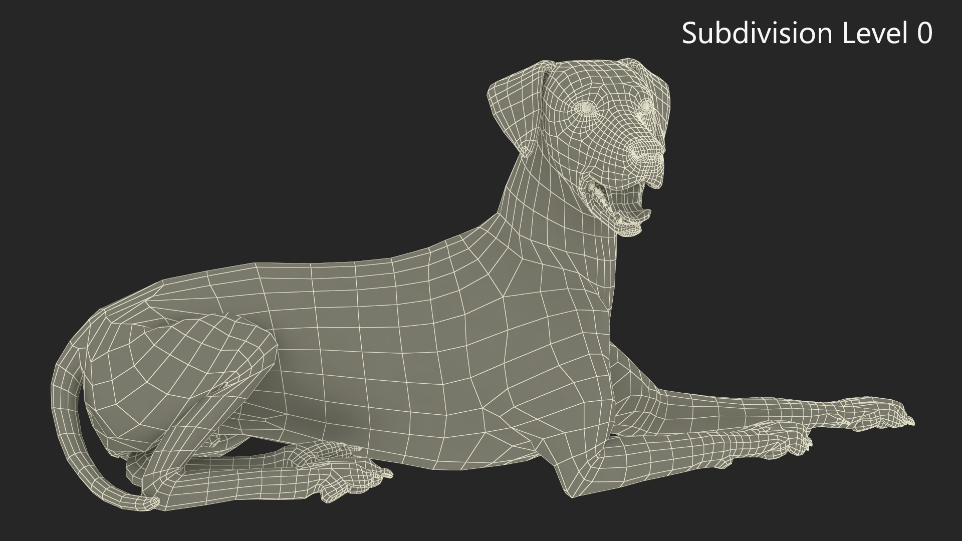 Spotted Lying Dalmatian Dog 3D