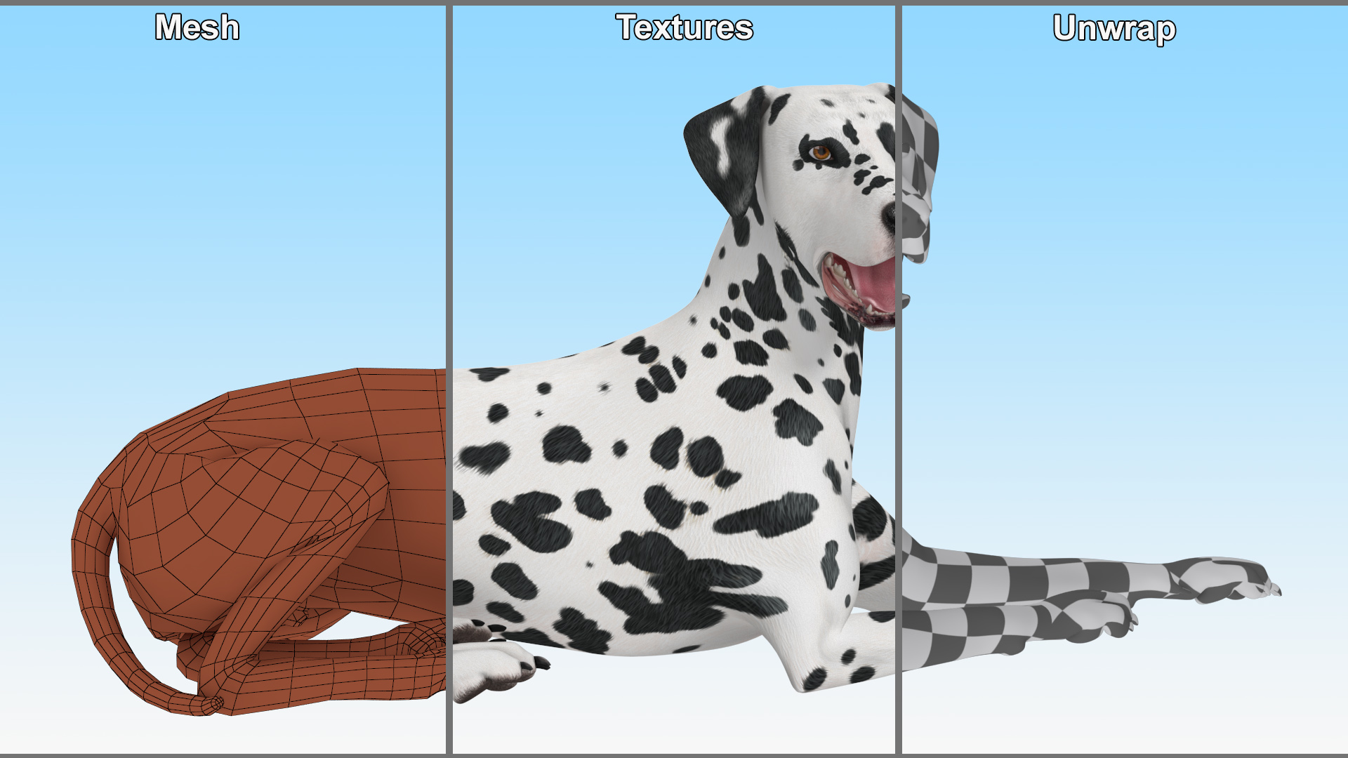 Spotted Lying Dalmatian Dog 3D