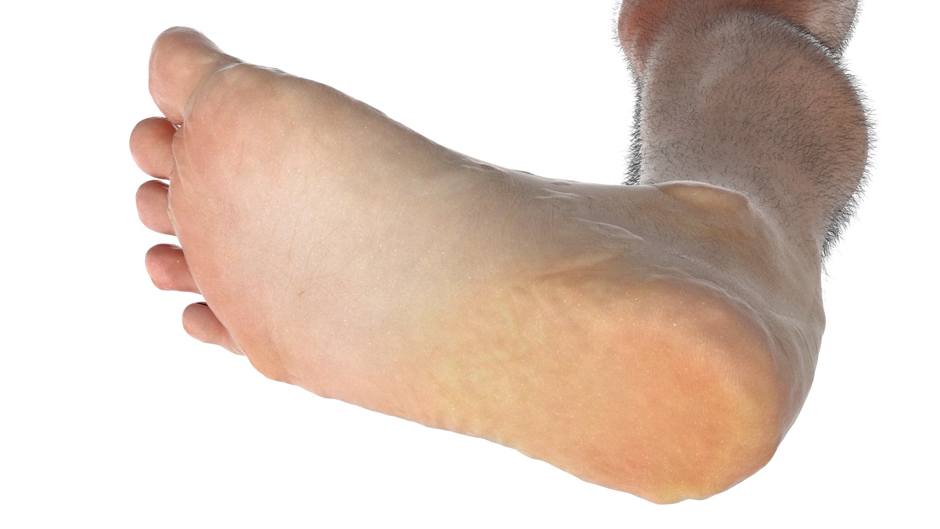 Realistic Male Legs in a Walking Pose 3D