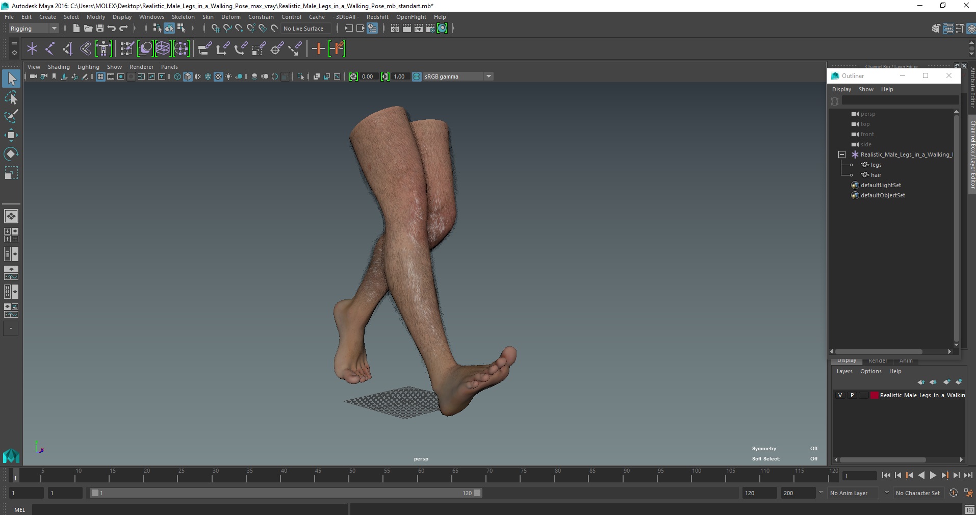 Realistic Male Legs in a Walking Pose 3D