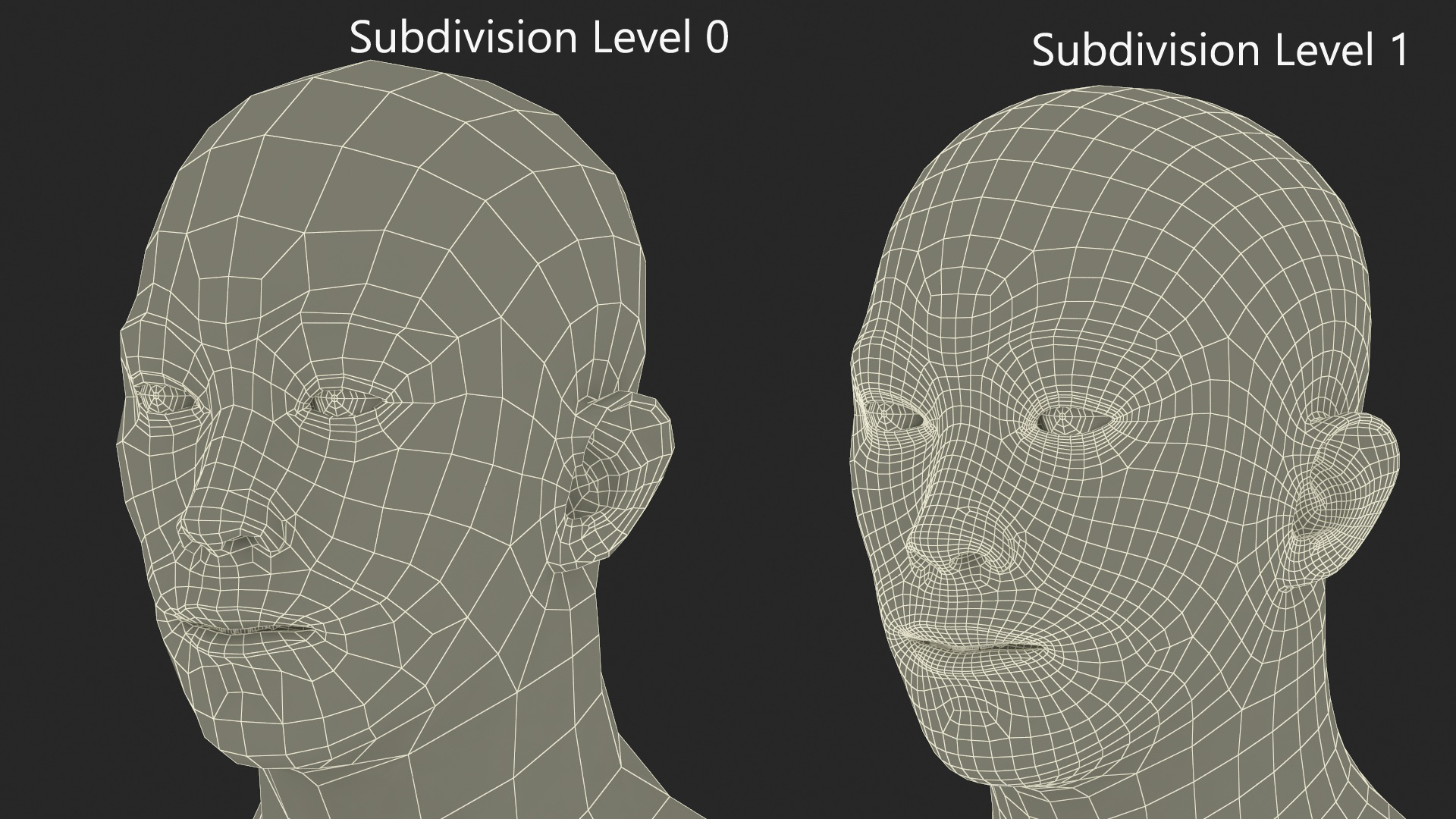 Asian Male Head Rigged 3D