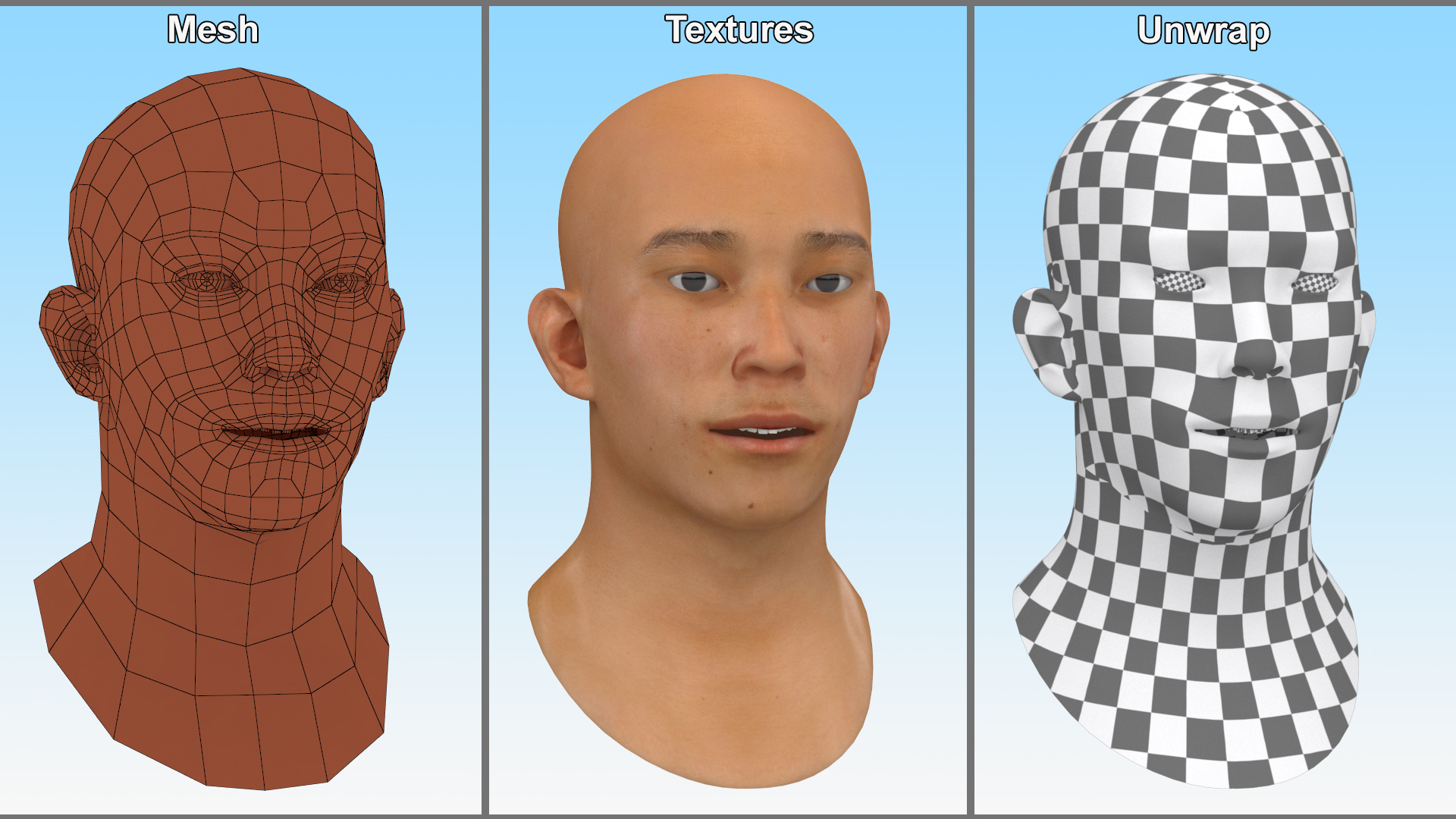 Asian Male Head Rigged 3D