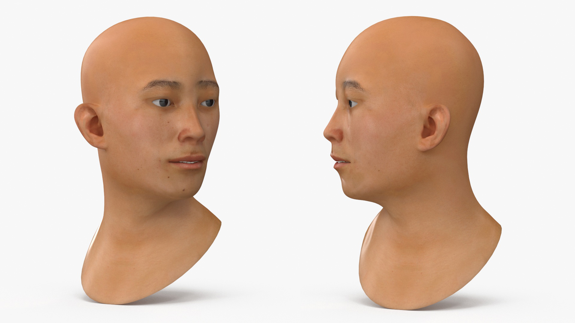 Asian Male Head Rigged 3D