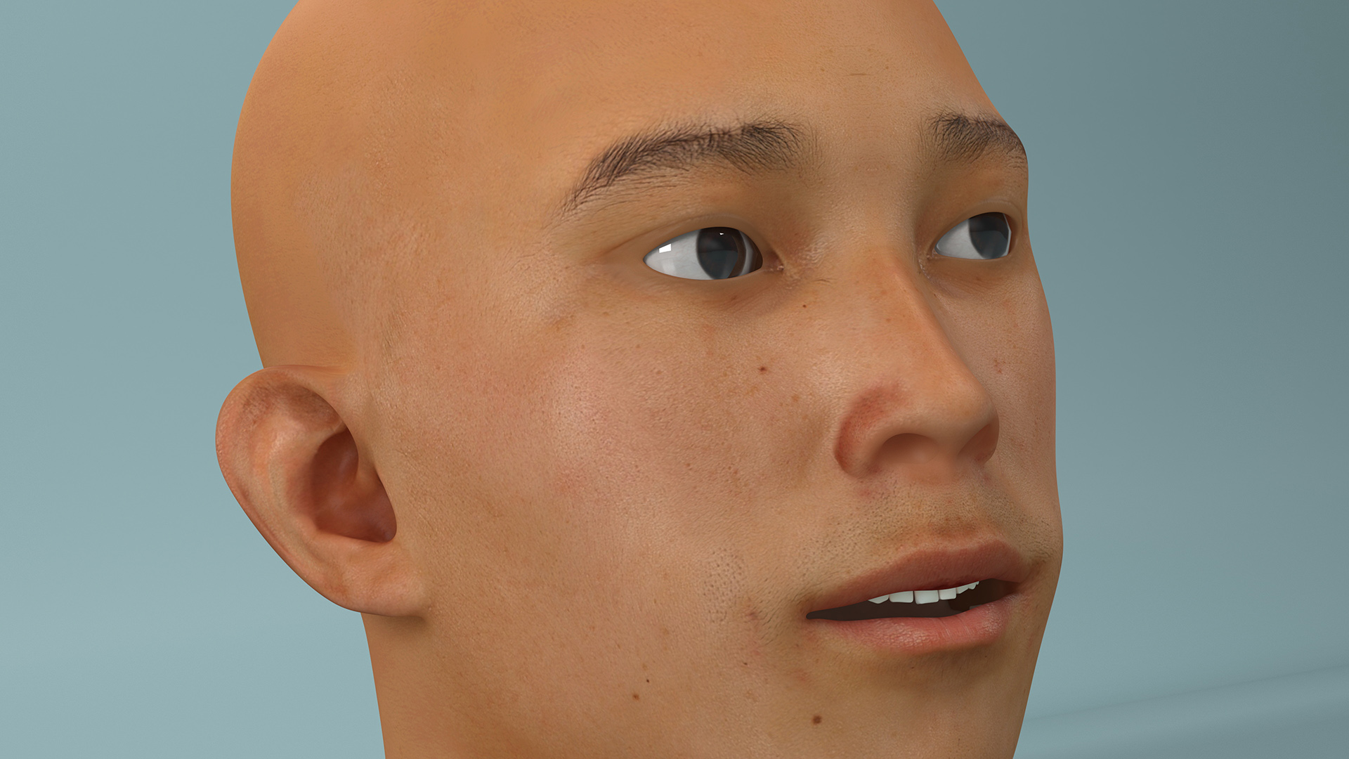 Asian Male Head Rigged 3D