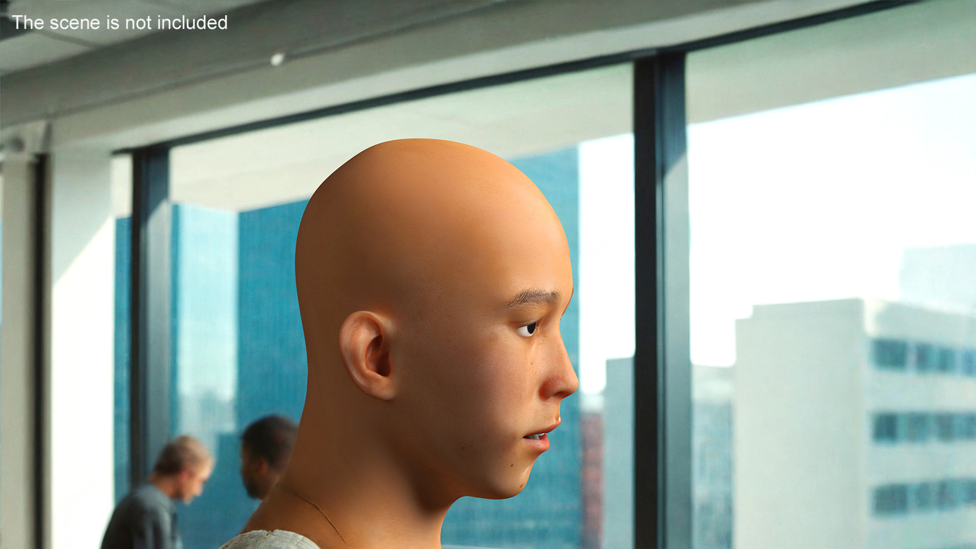 Asian Male Head Rigged 3D