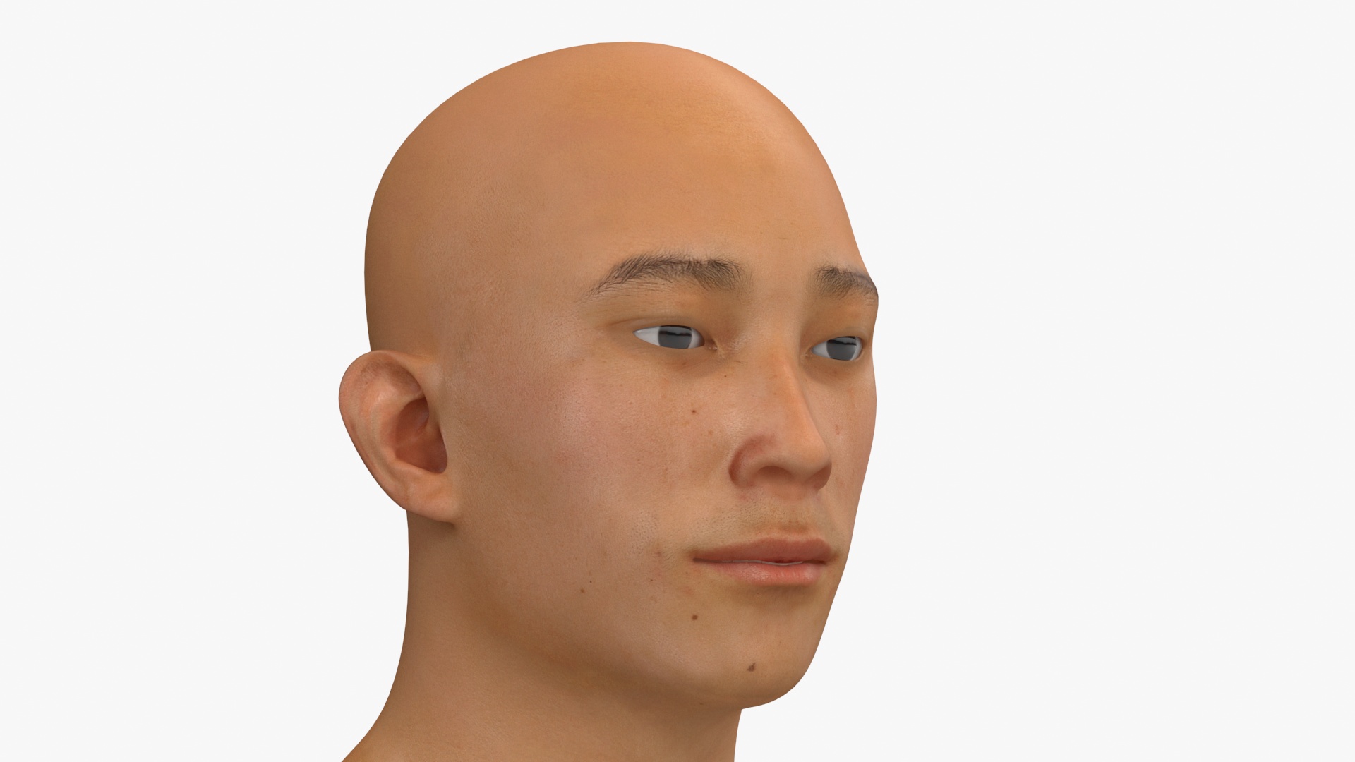 Asian Male Head Rigged 3D