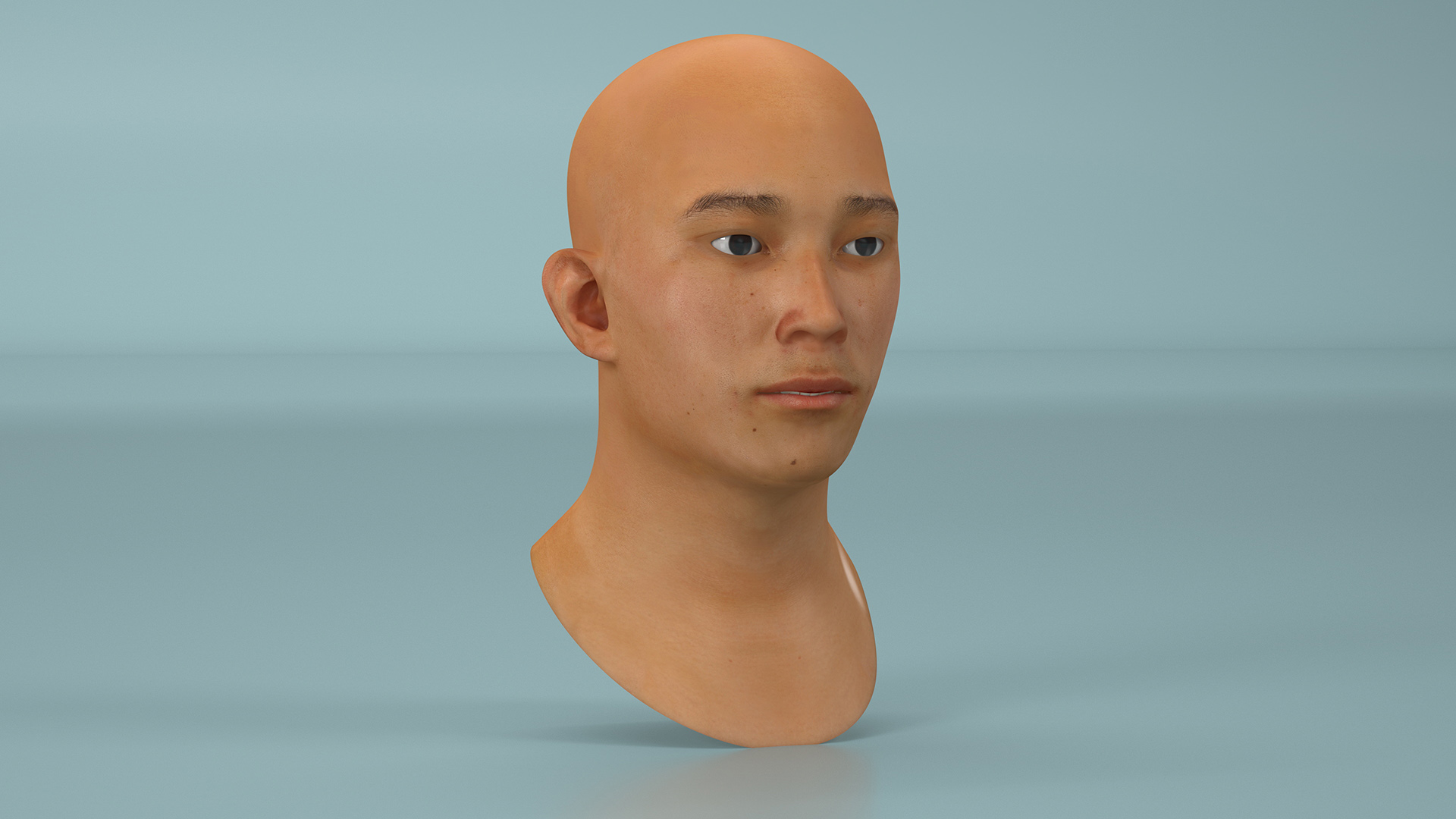 Asian Male Head Rigged 3D