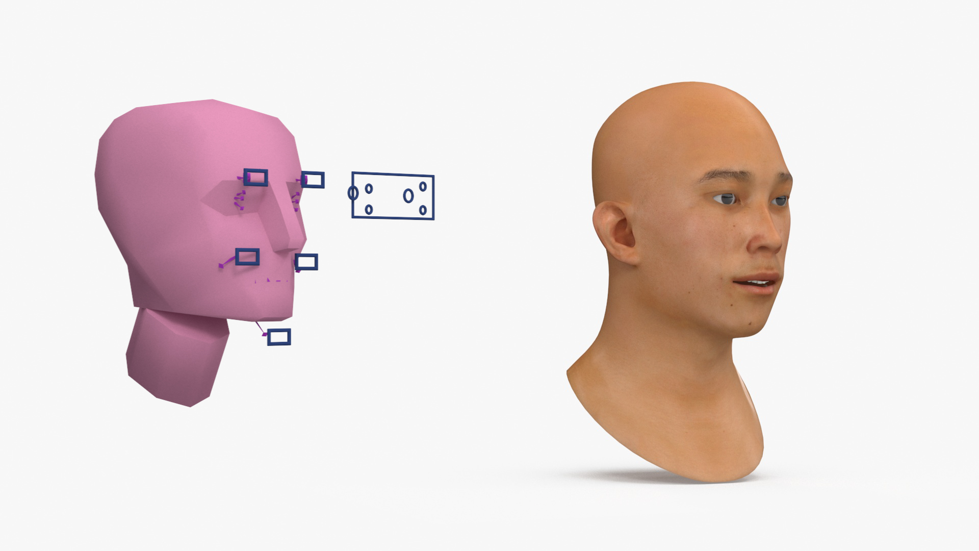 Asian Male Head Rigged 3D