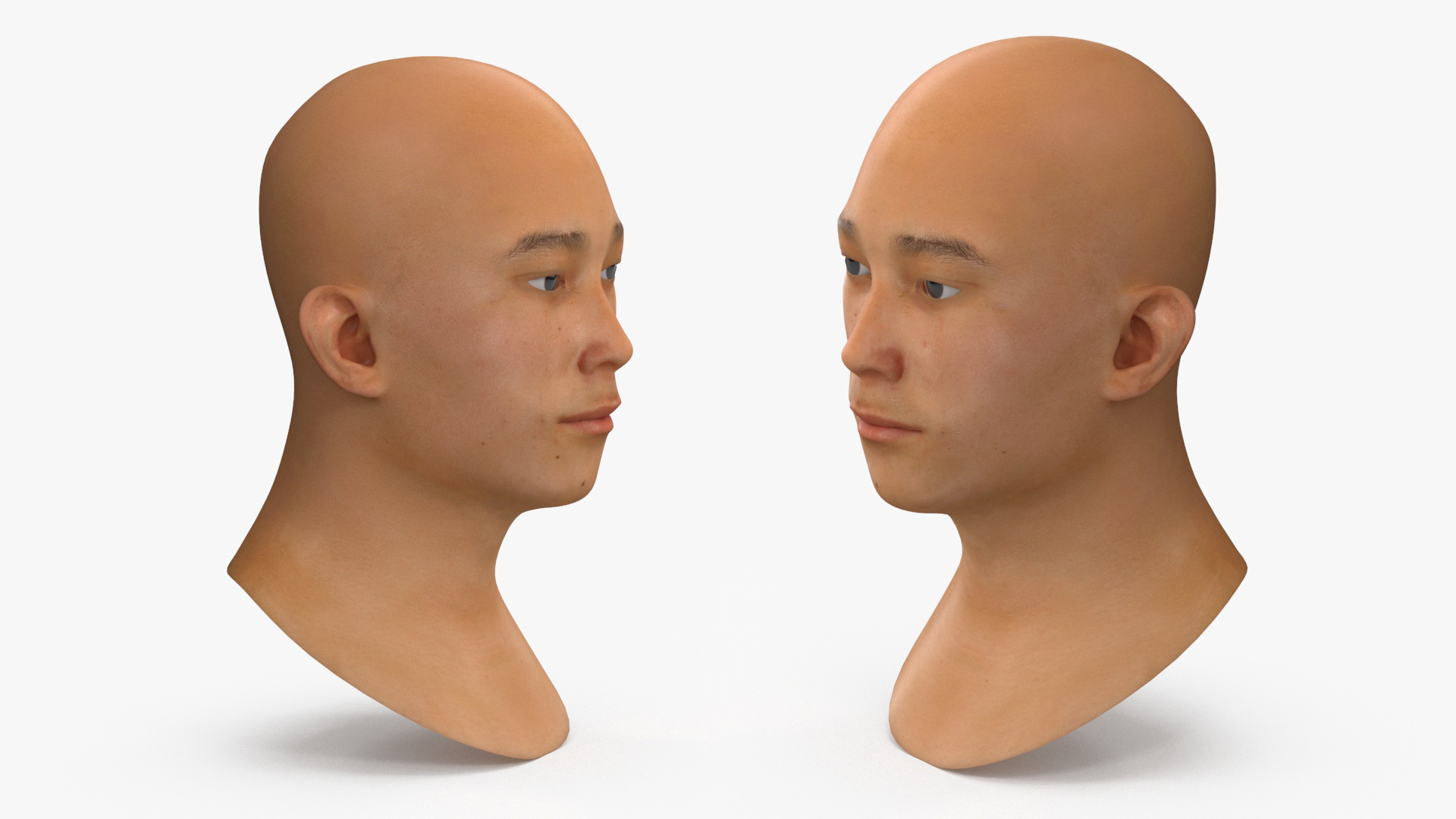 Asian Male Head Rigged 3D
