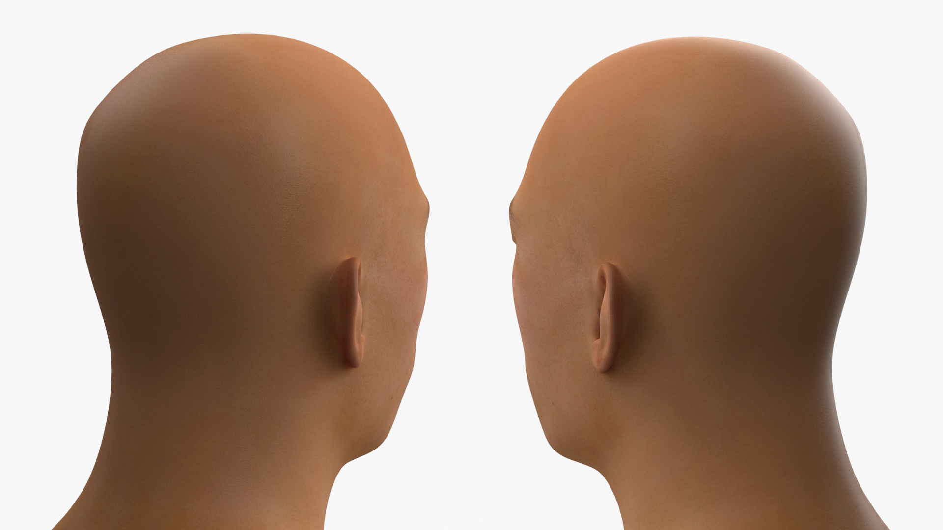 Asian Male Head Rigged 3D