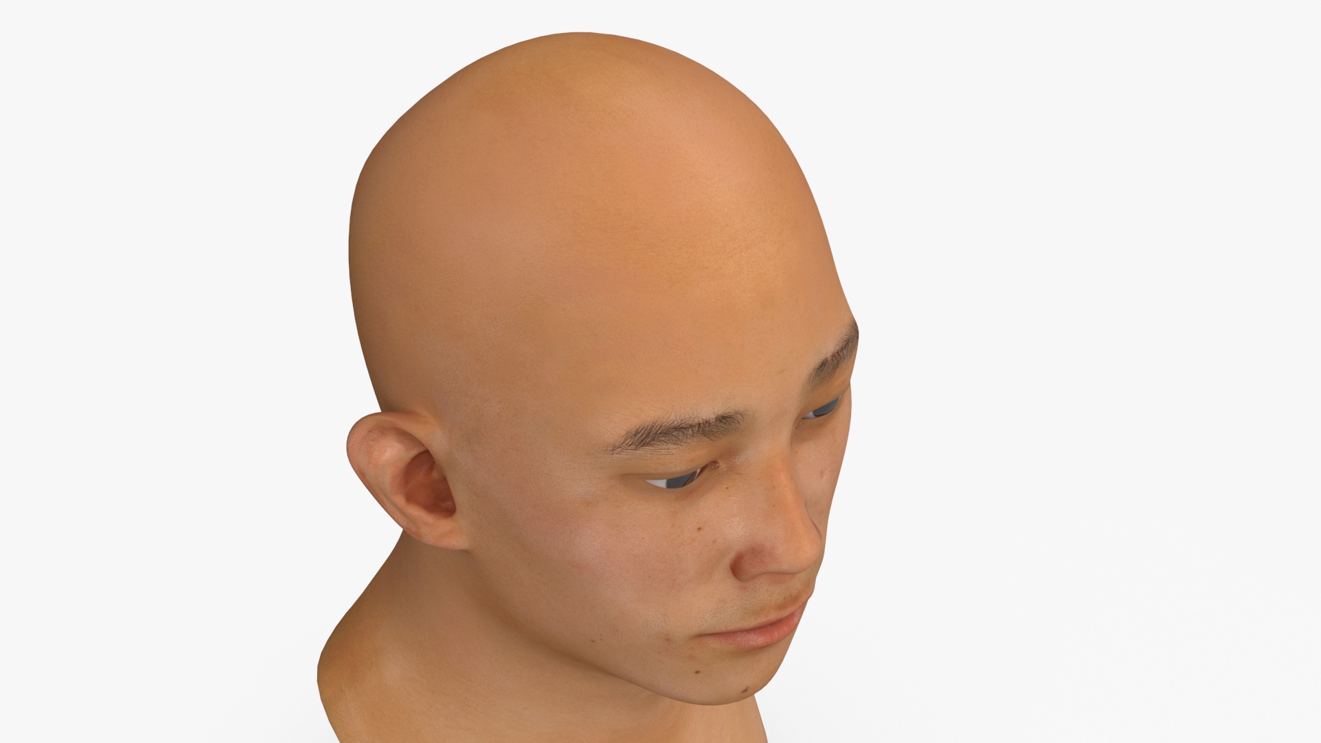 Asian Male Head Rigged 3D