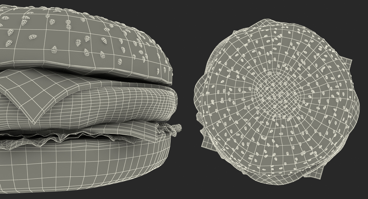 Cheeseburger 3D