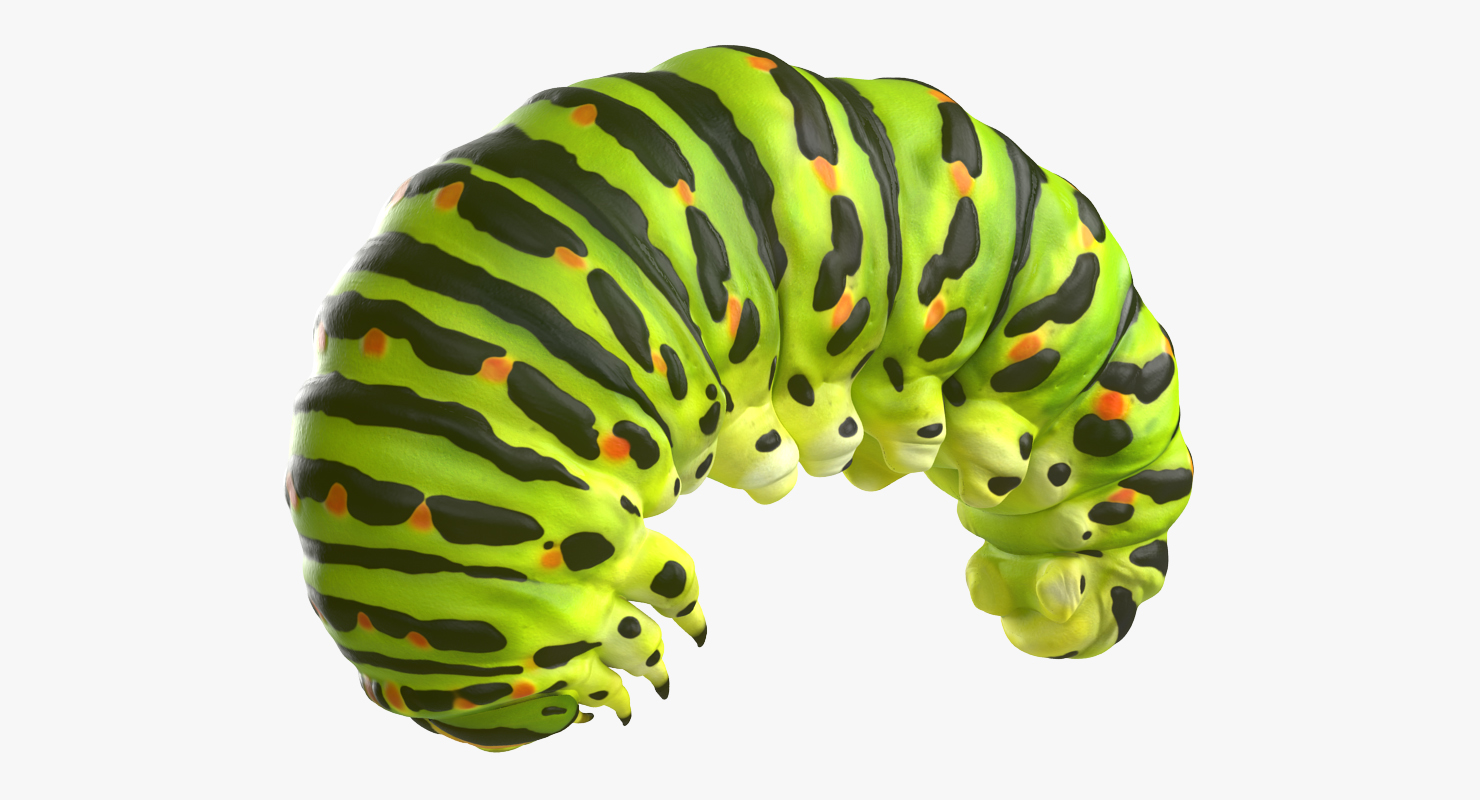 3D Caterpillar Rigged model