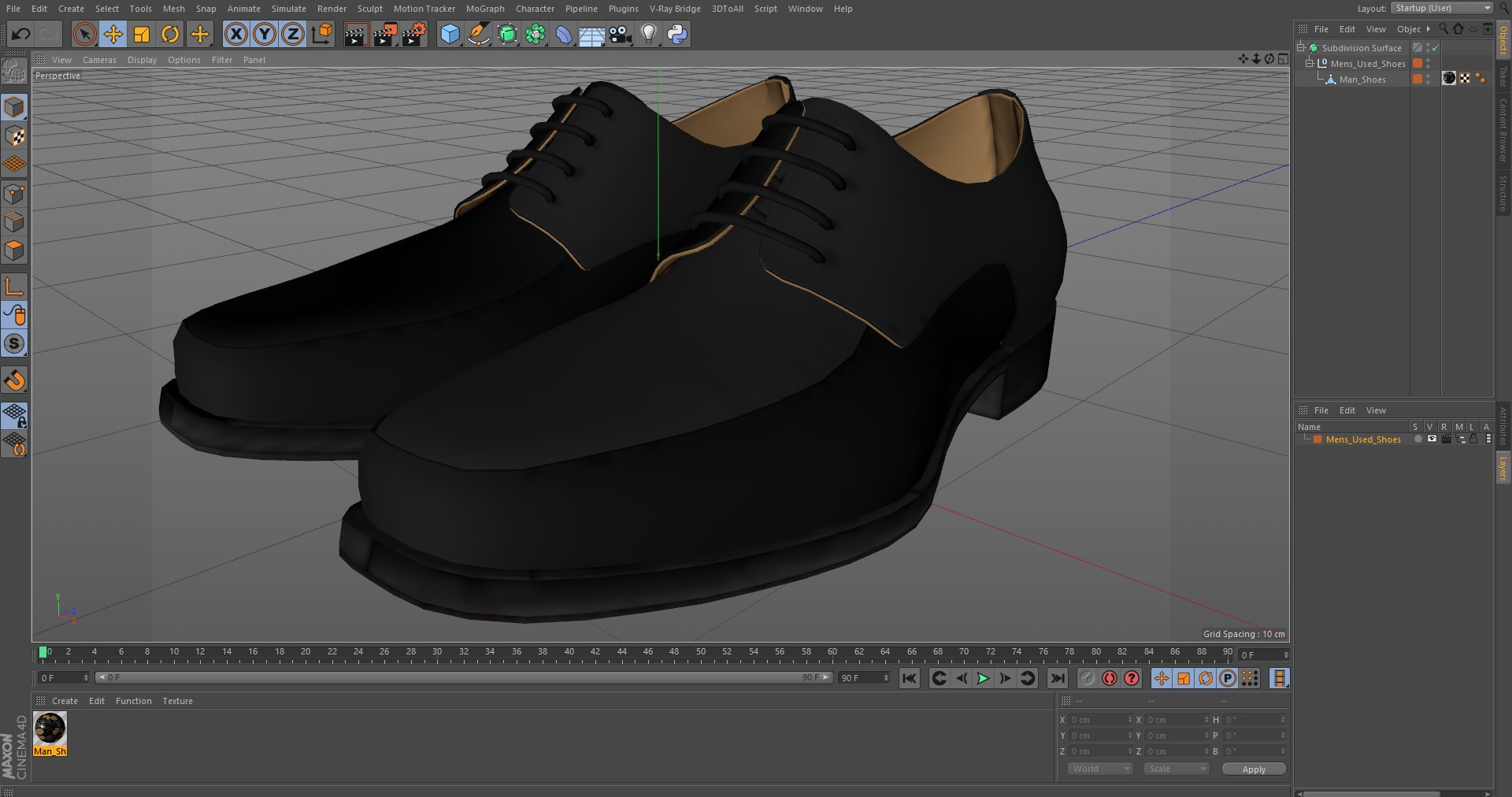 3D model Mens Used Shoes