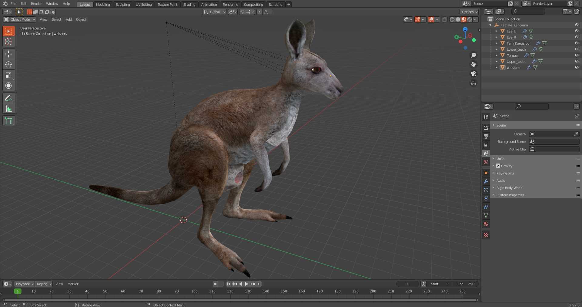 3D model Female Kangaroo