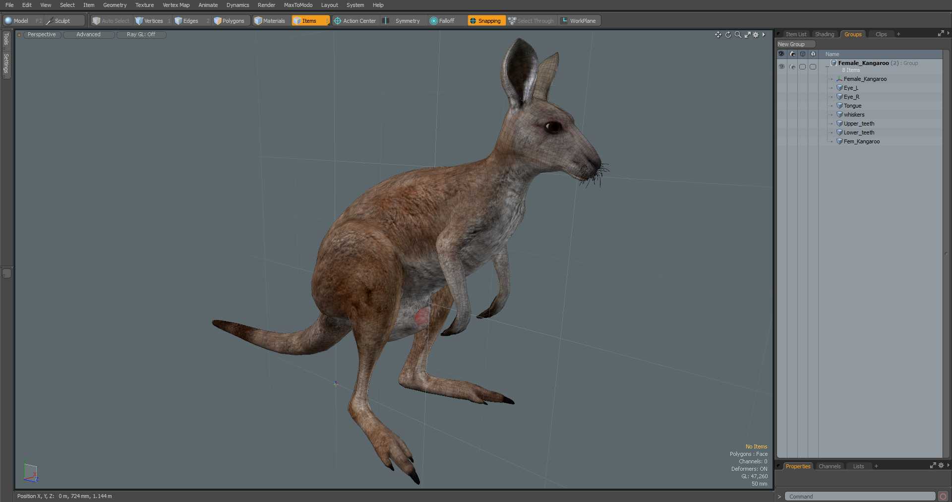 3D model Female Kangaroo