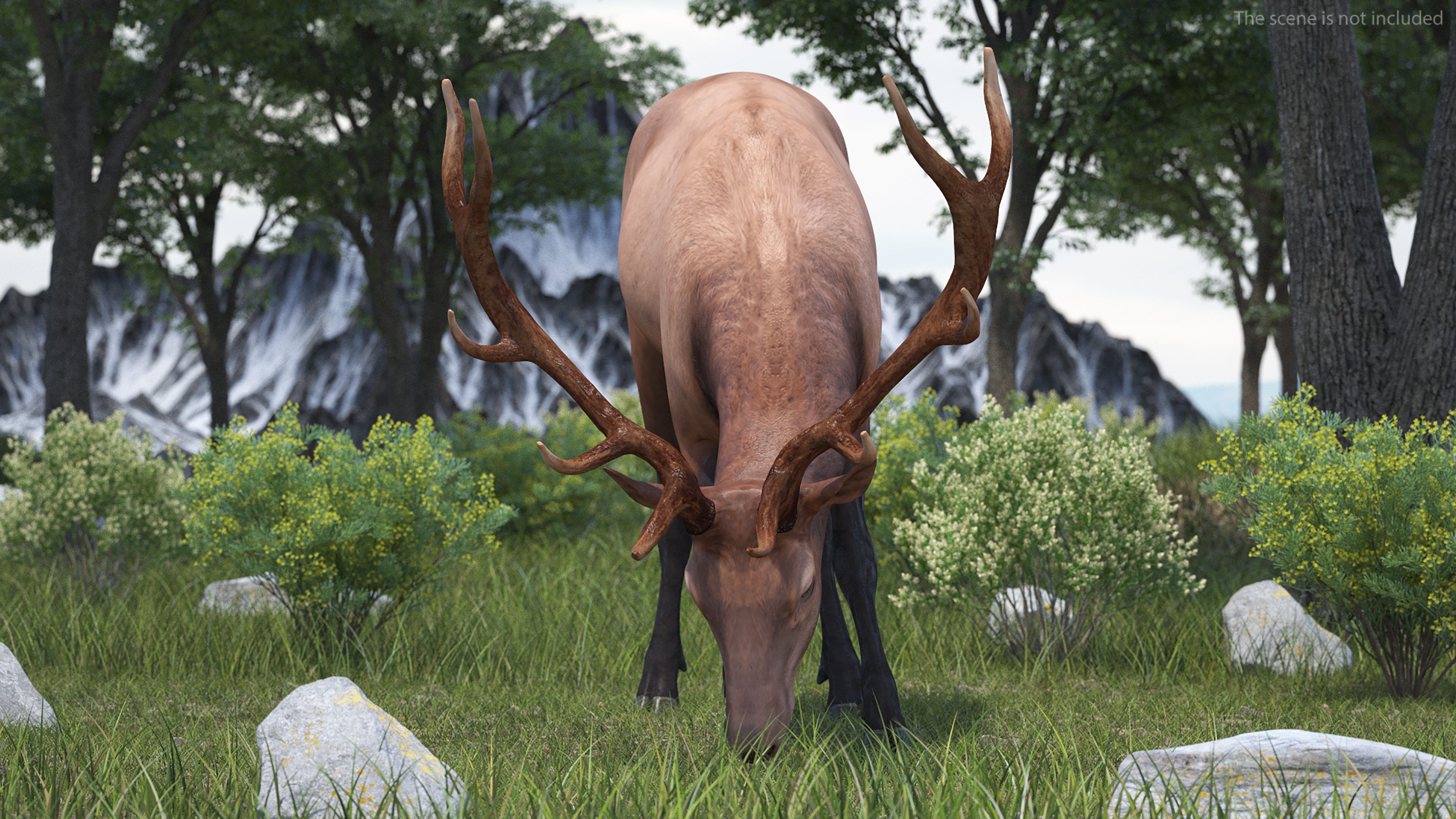 Realistic Elk Rigged for Maya 3D model