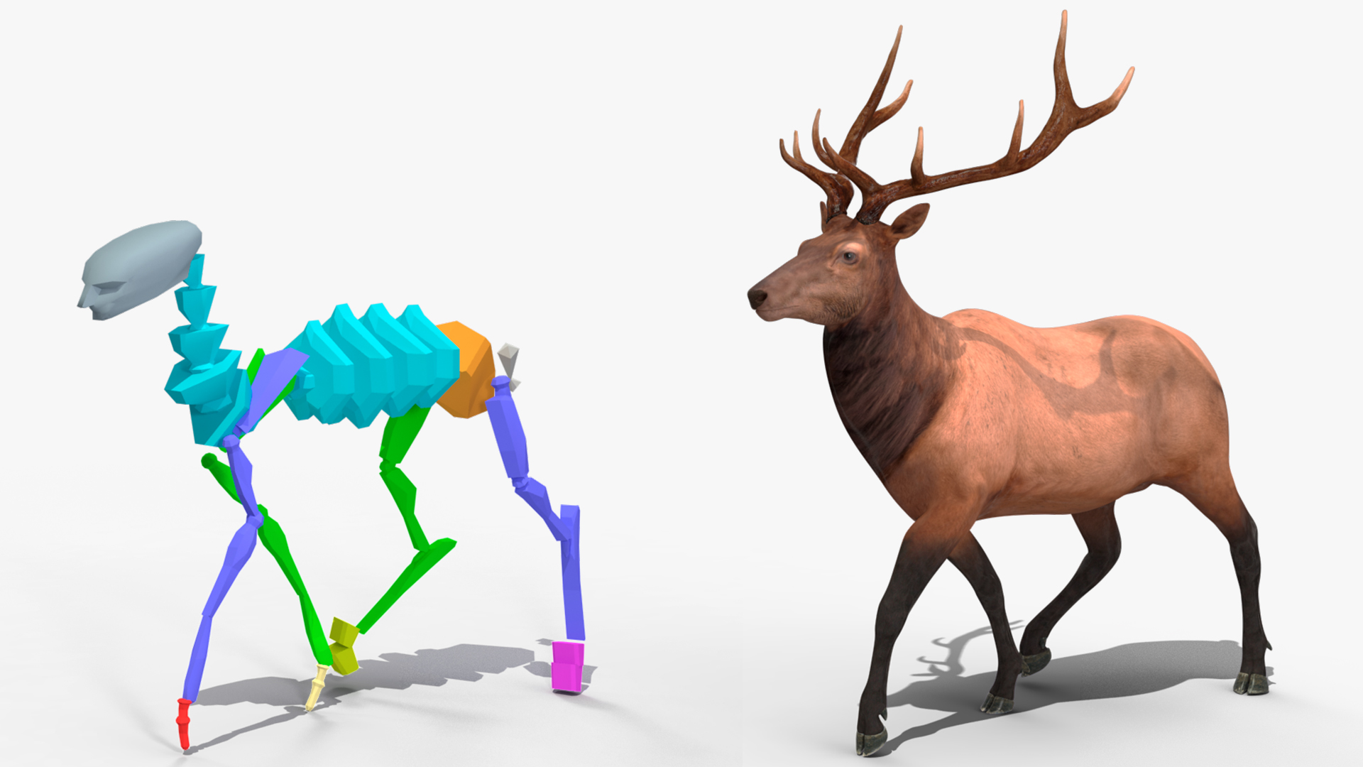 Realistic Elk Rigged for Maya 3D model
