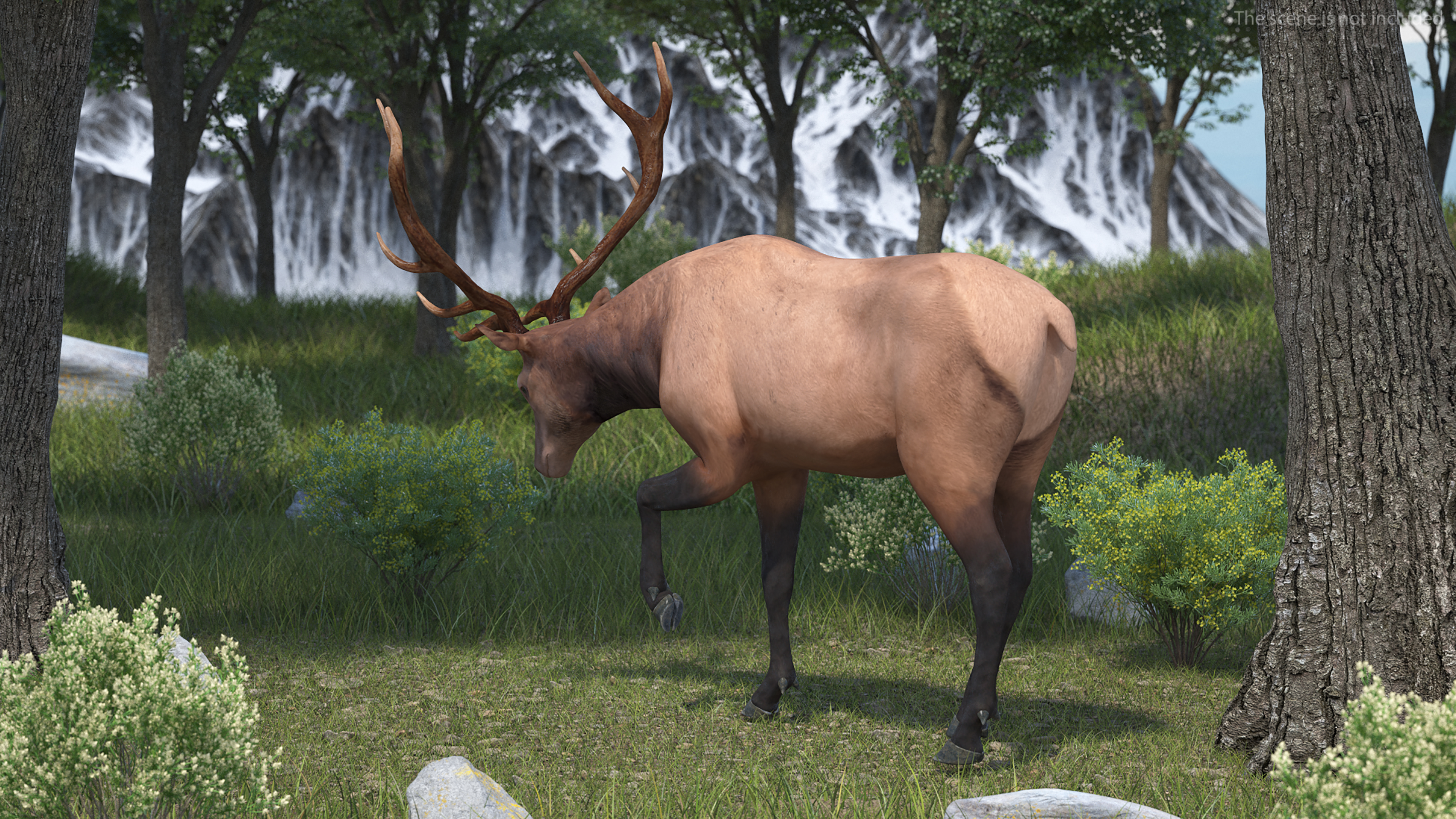 Realistic Elk Rigged for Maya 3D model