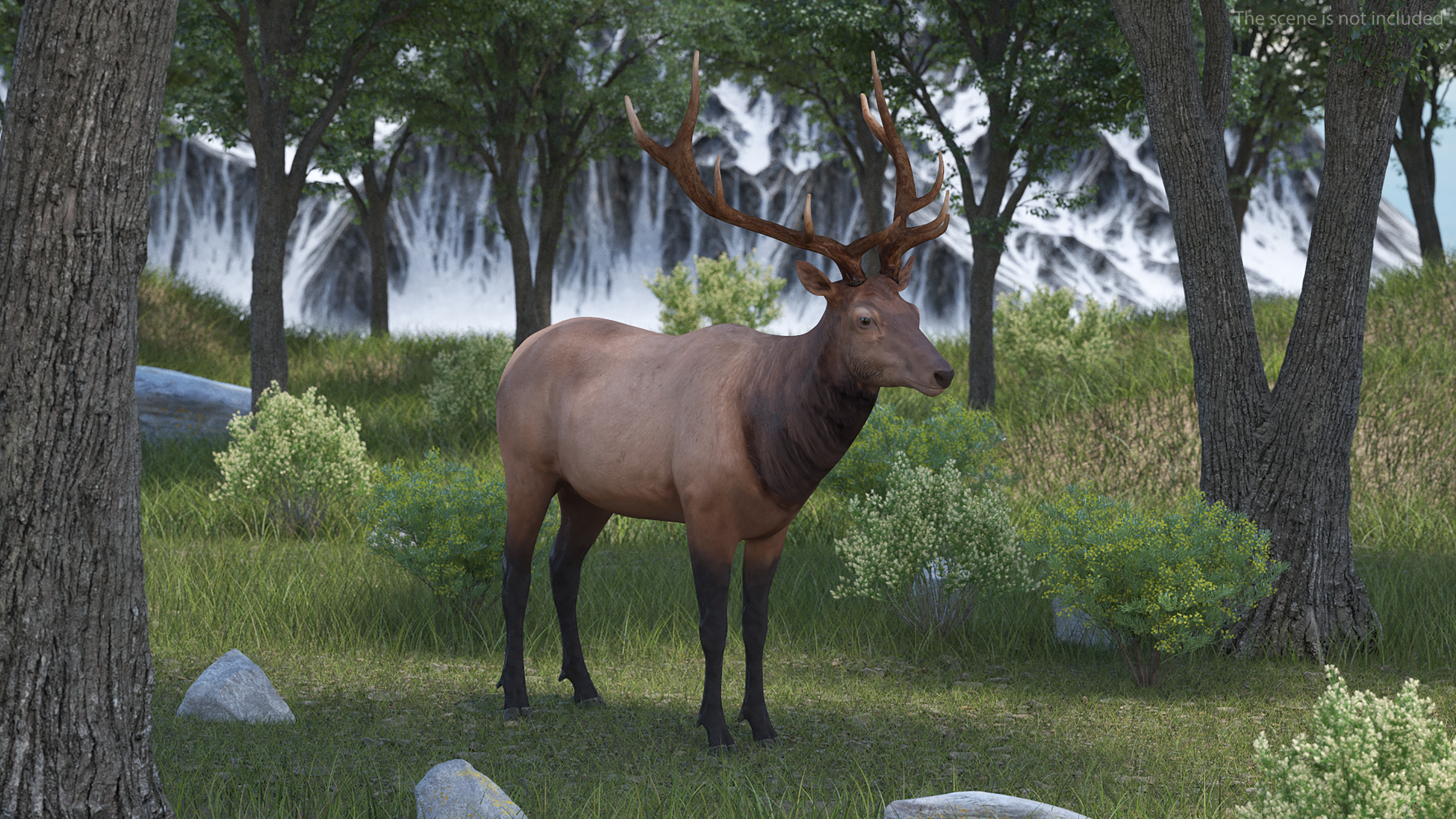 Realistic Elk Rigged for Maya 3D model