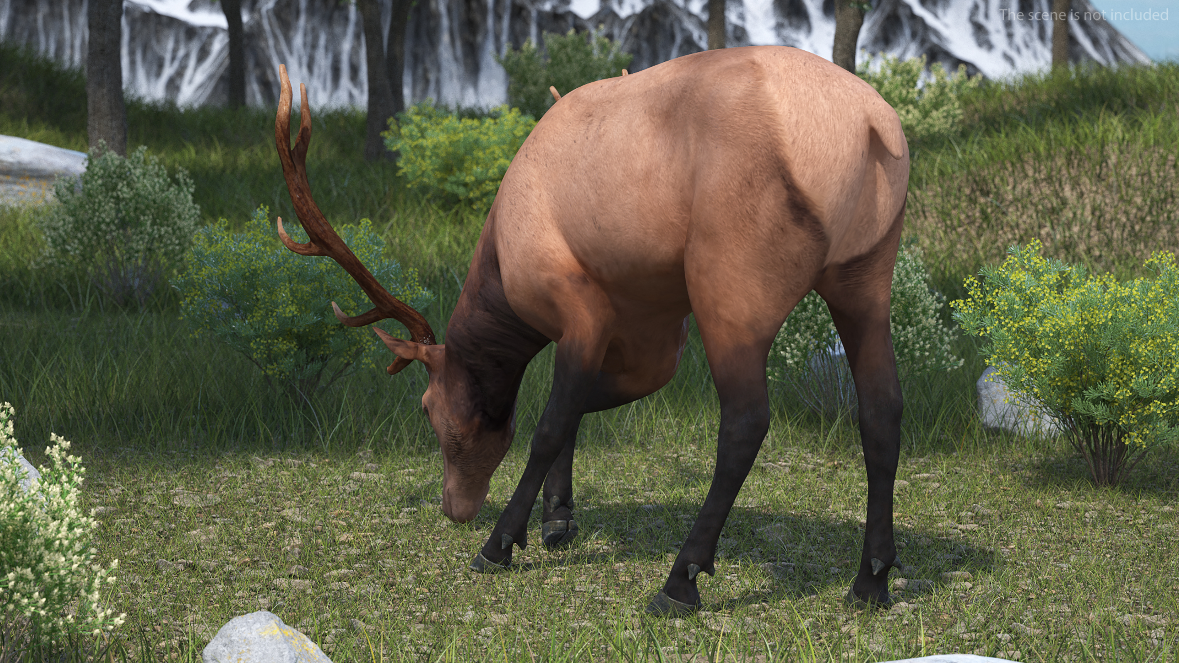 Realistic Elk Rigged for Maya 3D model
