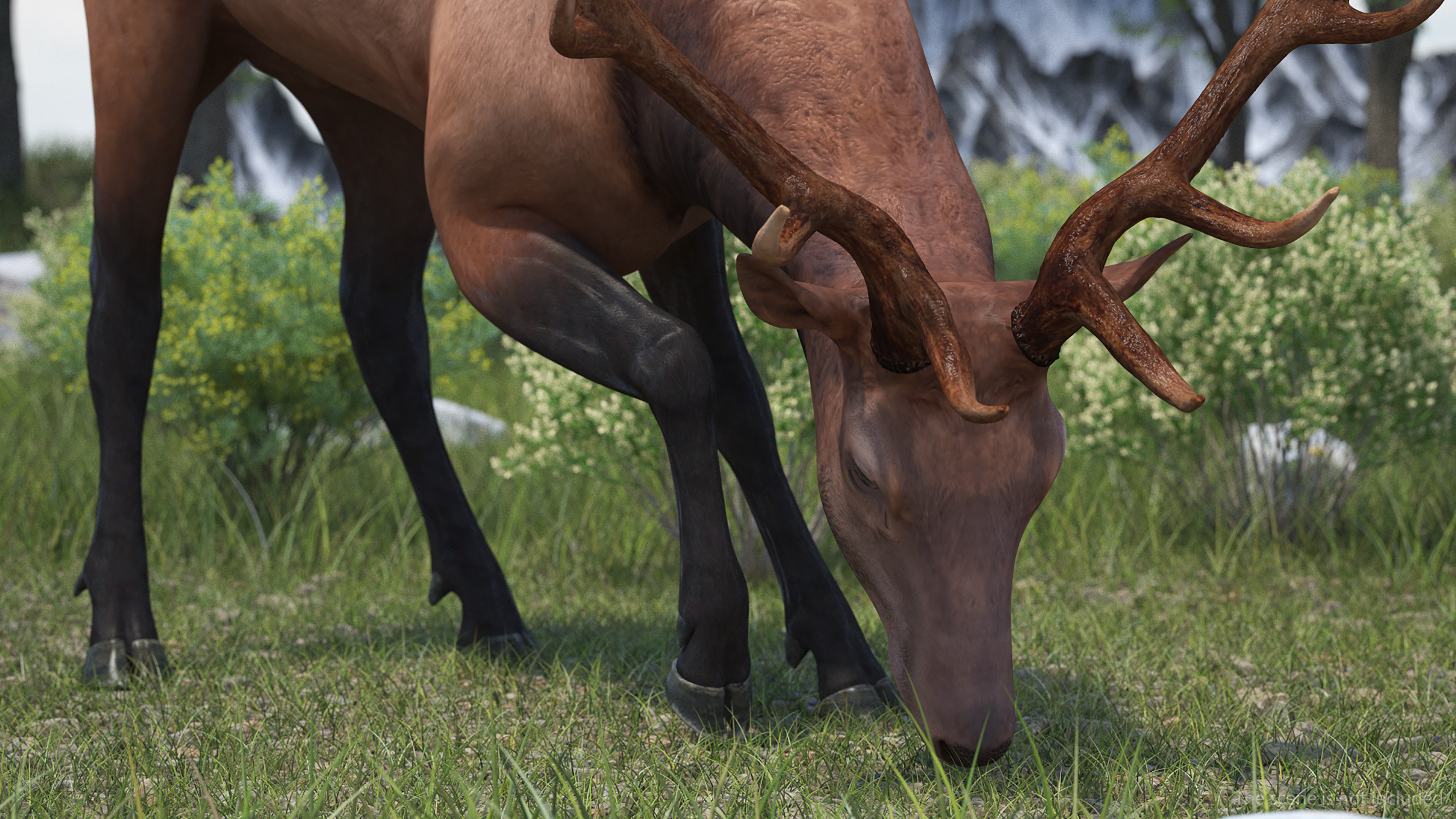 Realistic Elk Rigged for Maya 3D model