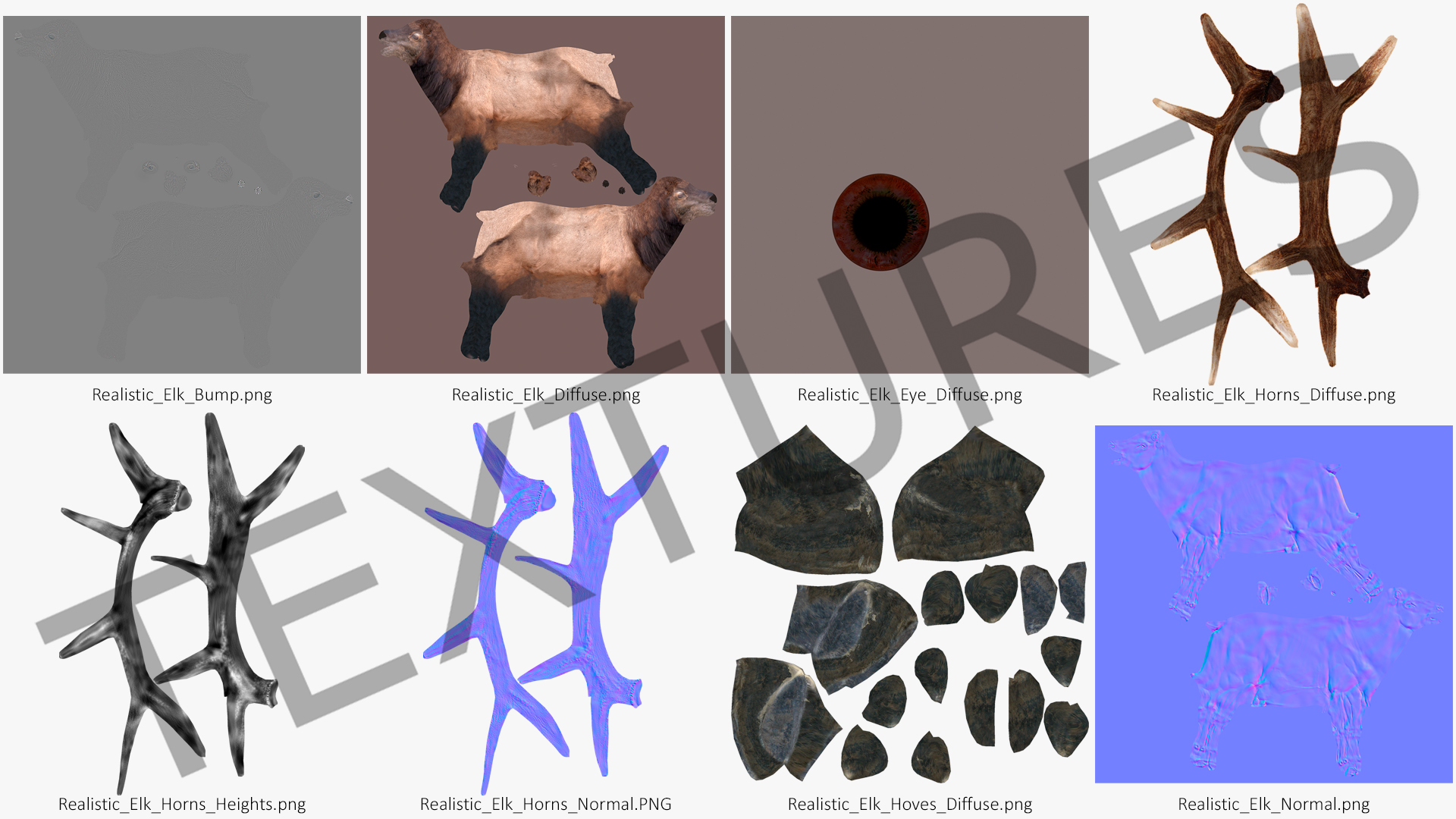 Realistic Elk Rigged for Maya 3D model