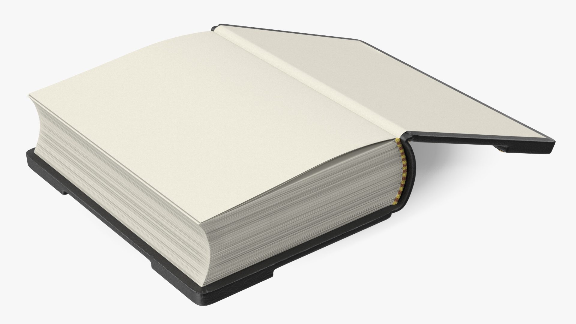 3D model Vintage Ornate Book Black