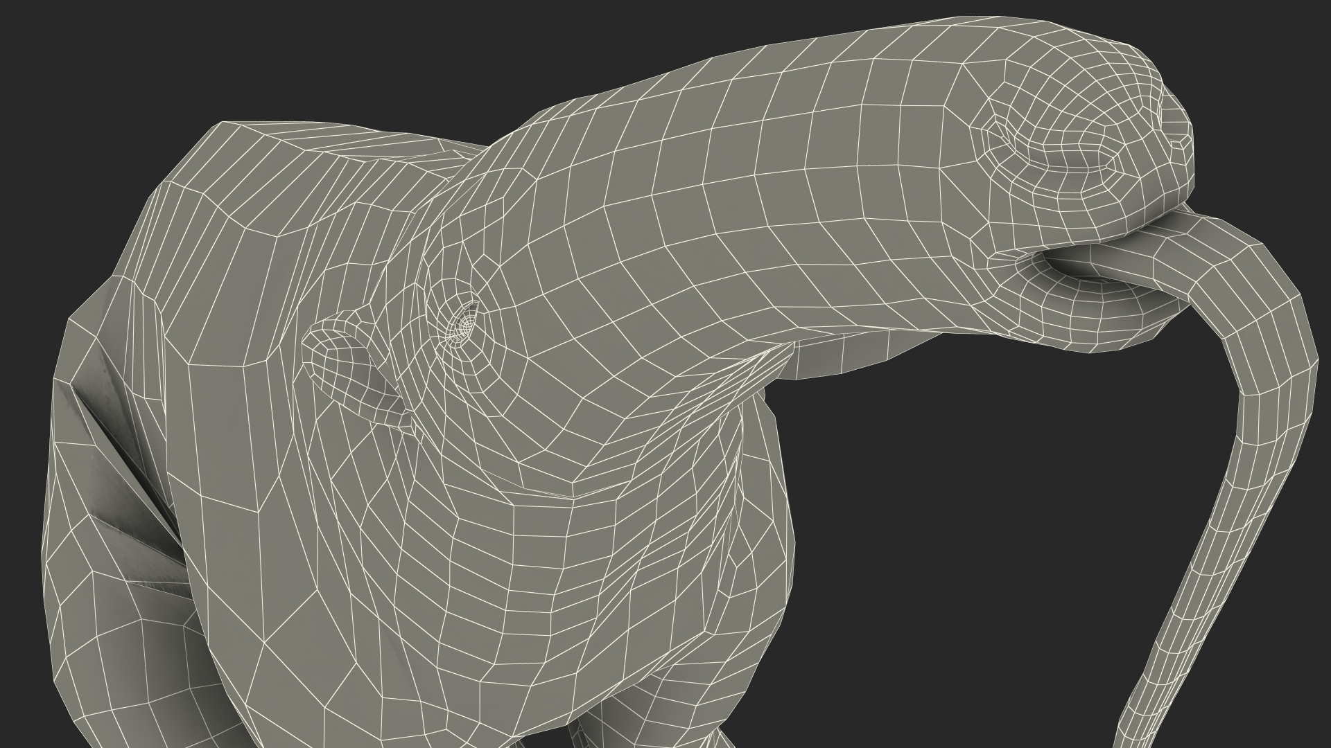 3D model Anteater Sitting Pose Fur
