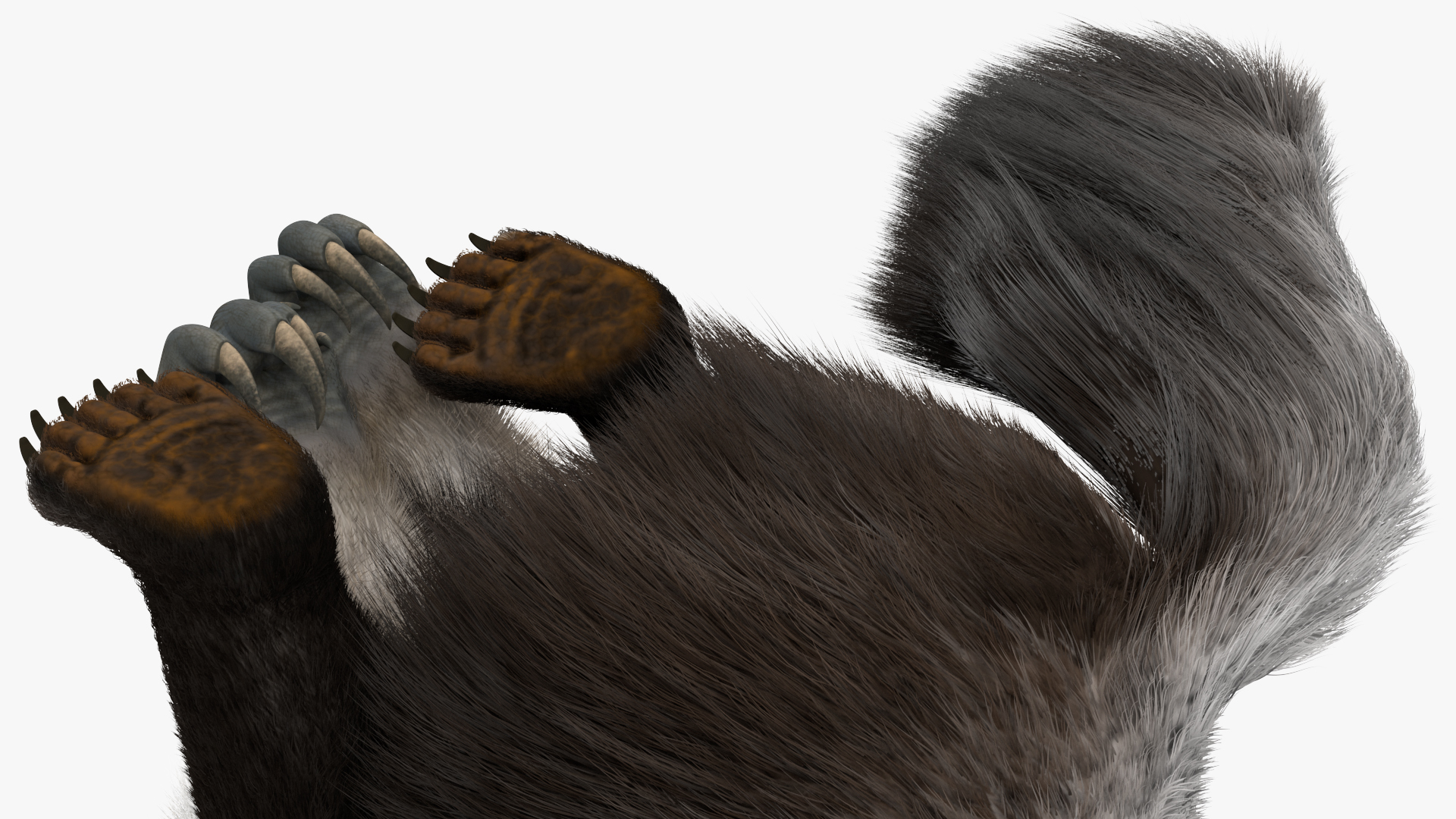 3D model Anteater Sitting Pose Fur